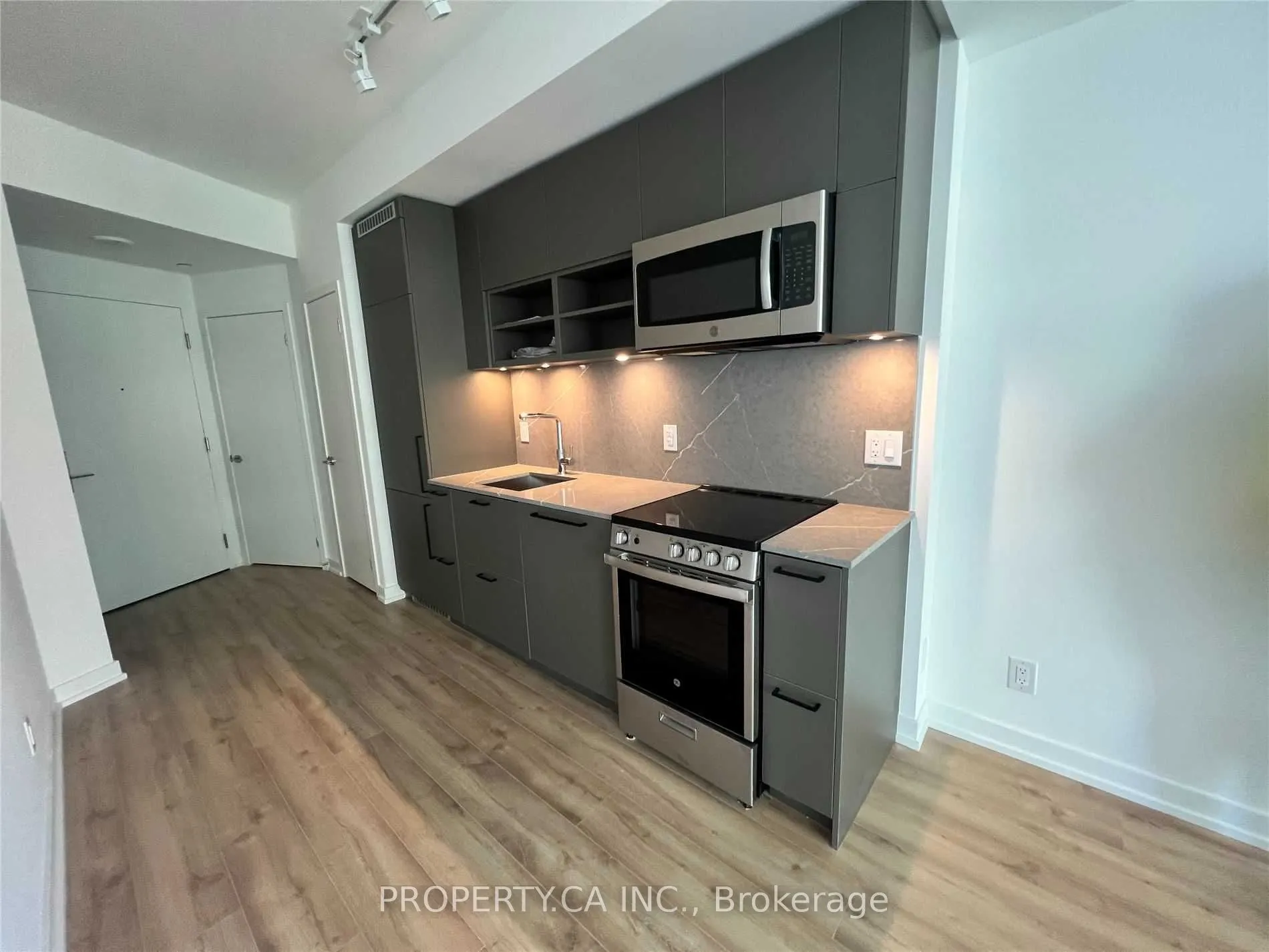 135 East Liberty Street, #1308