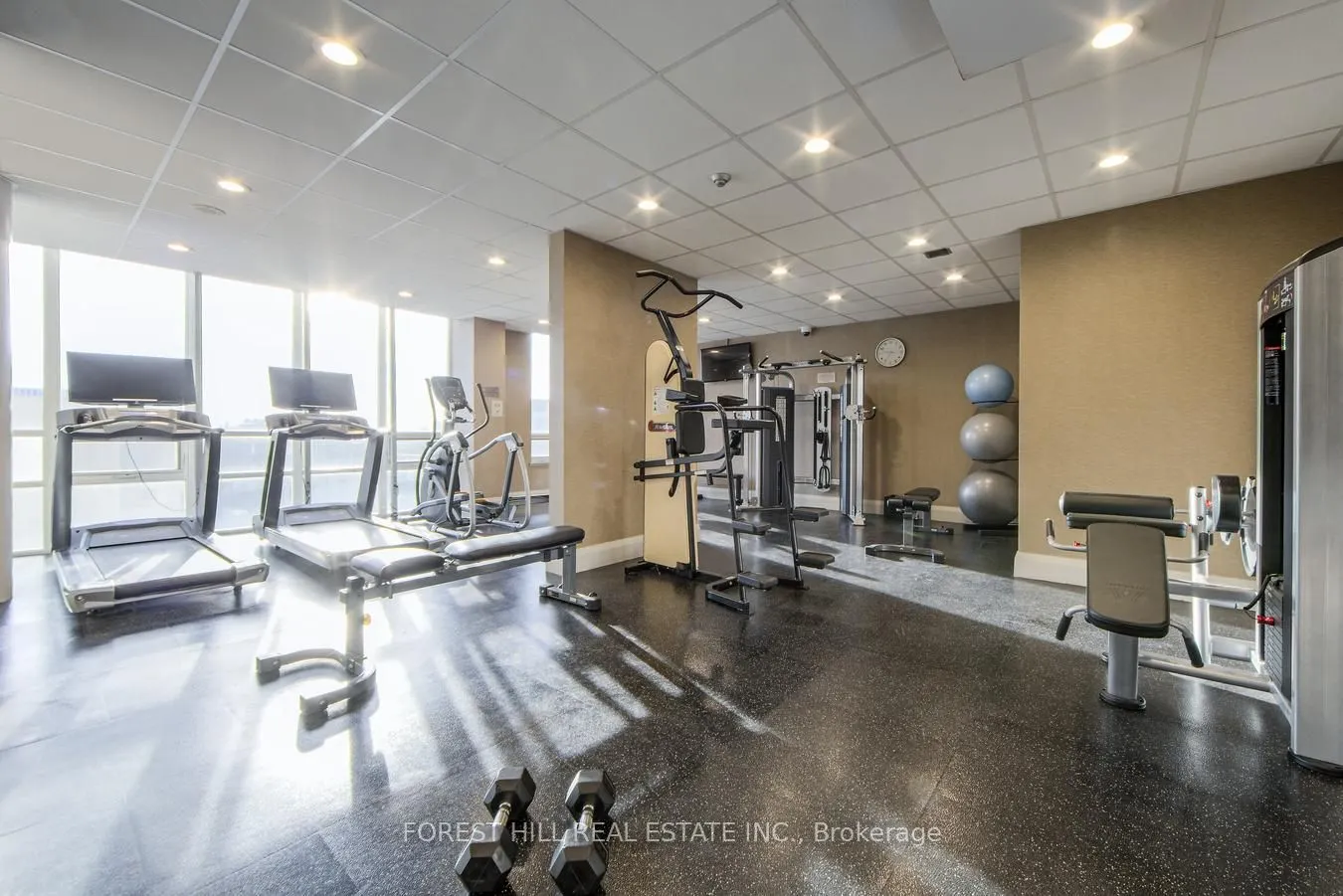 801 Bay Street, #1606