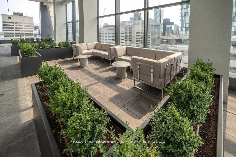 488 University Avenue, #3806