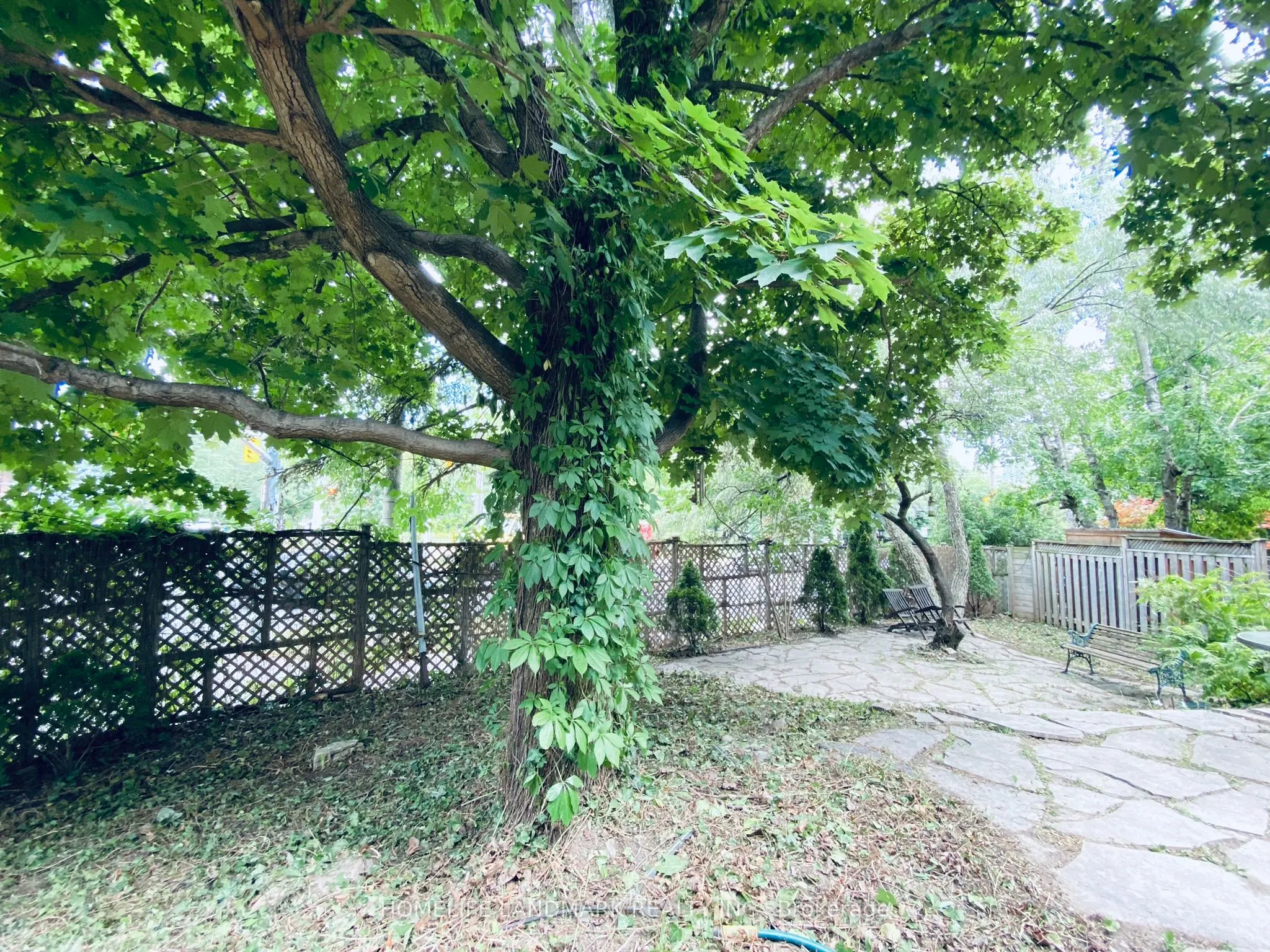 256 Oriole Parkway, #Upper