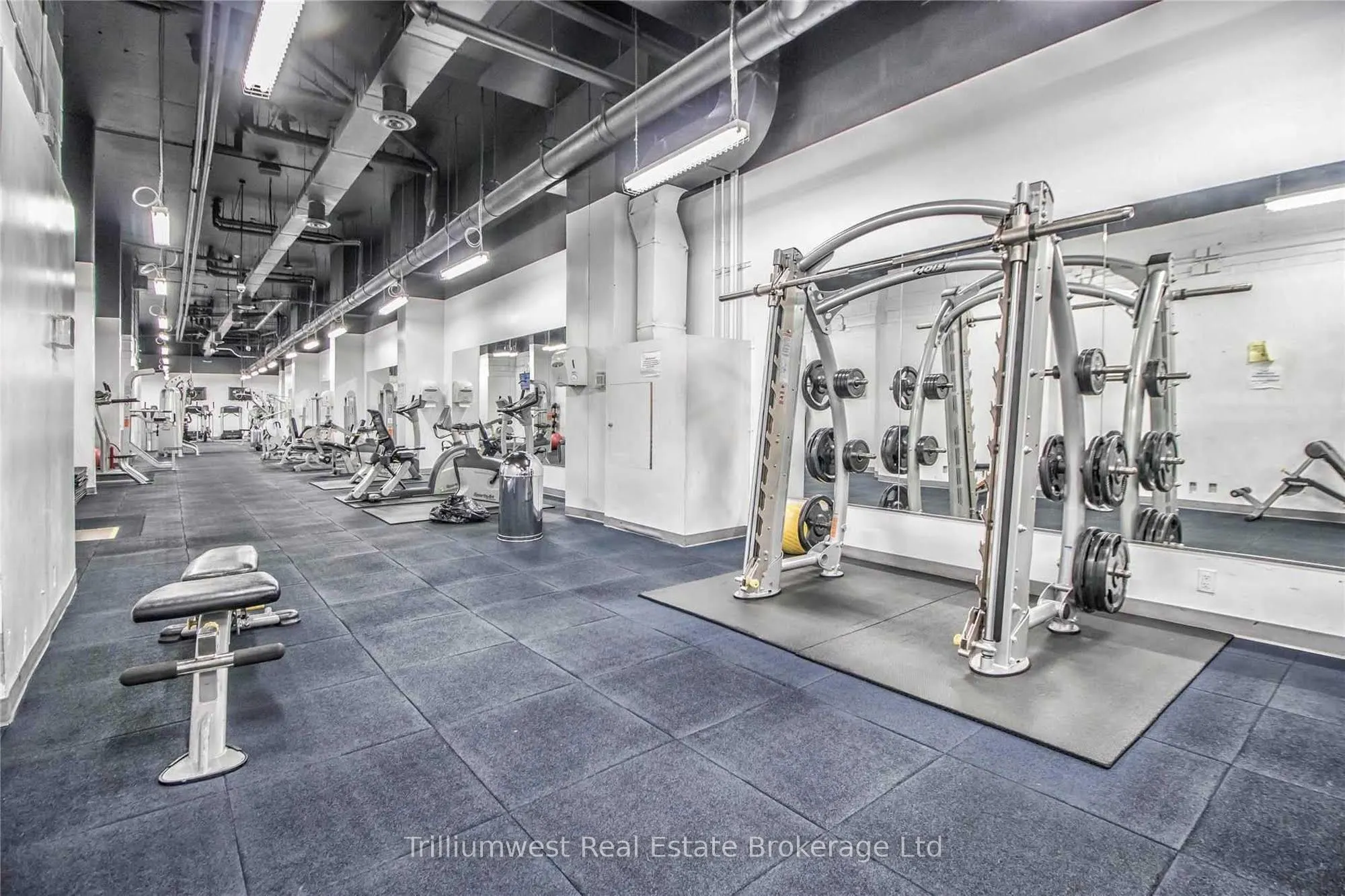 85 East Liberty Street E, #1712
