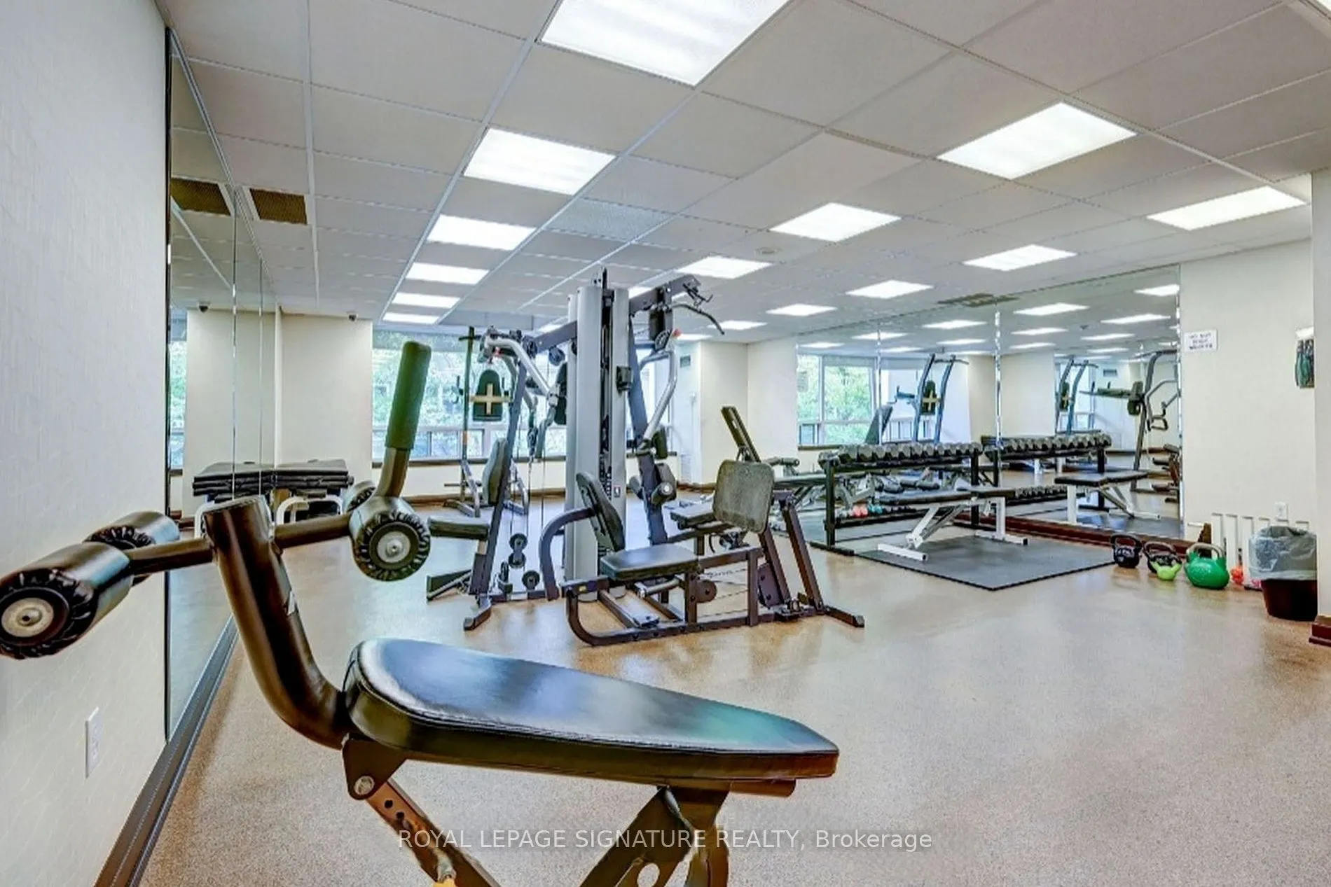 8 Rean Drive, #1002