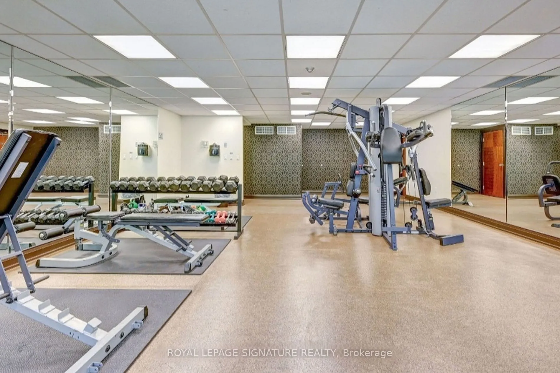 8 Rean Drive, #1002