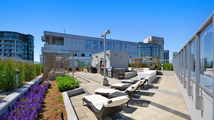 352 Front Street W, #1116