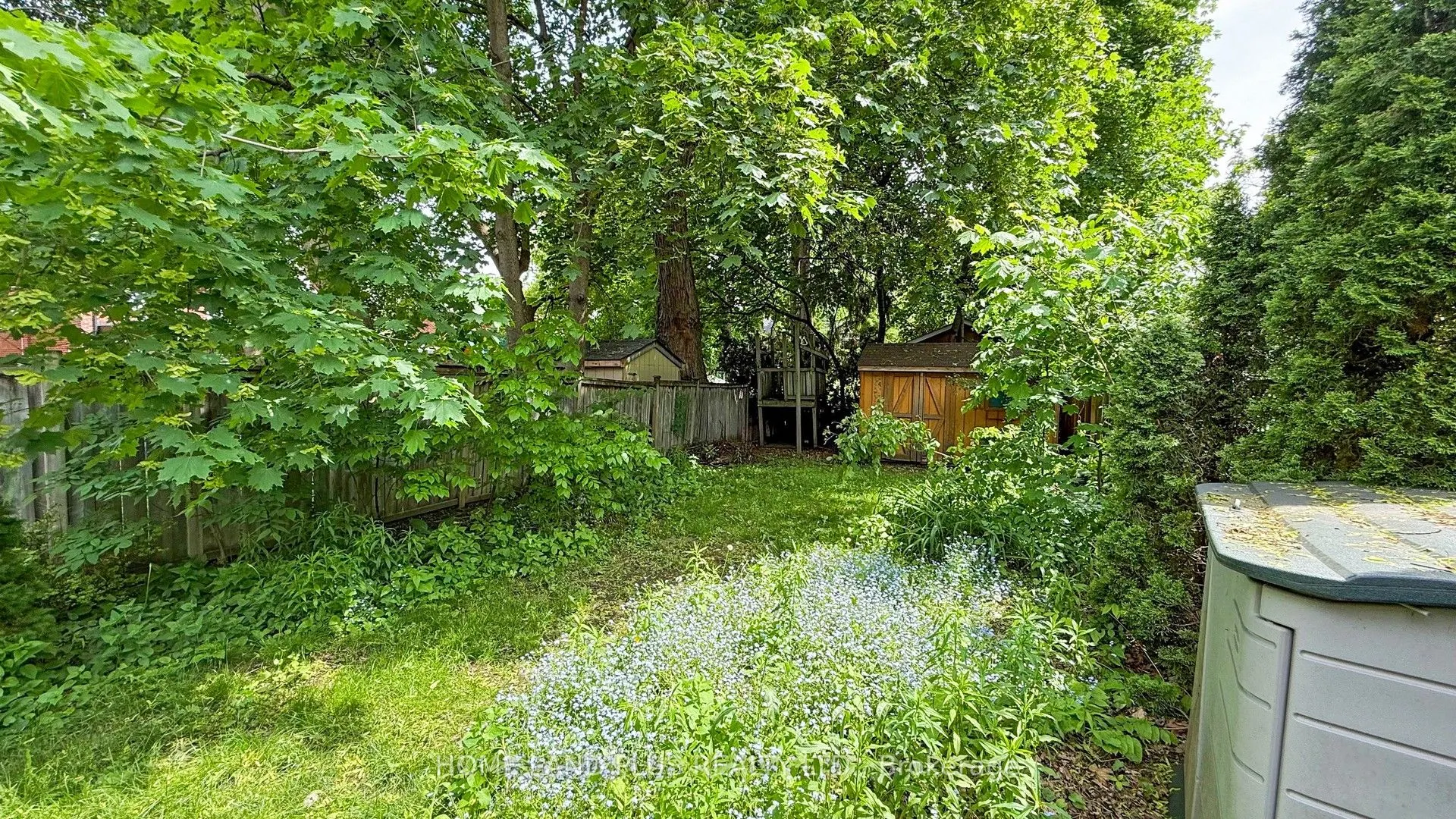 97 Deloraine Avenue