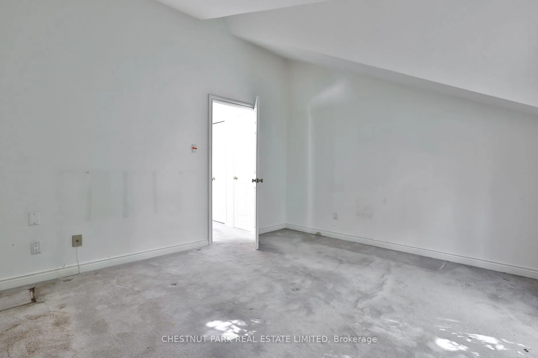 17 Webster Avenue