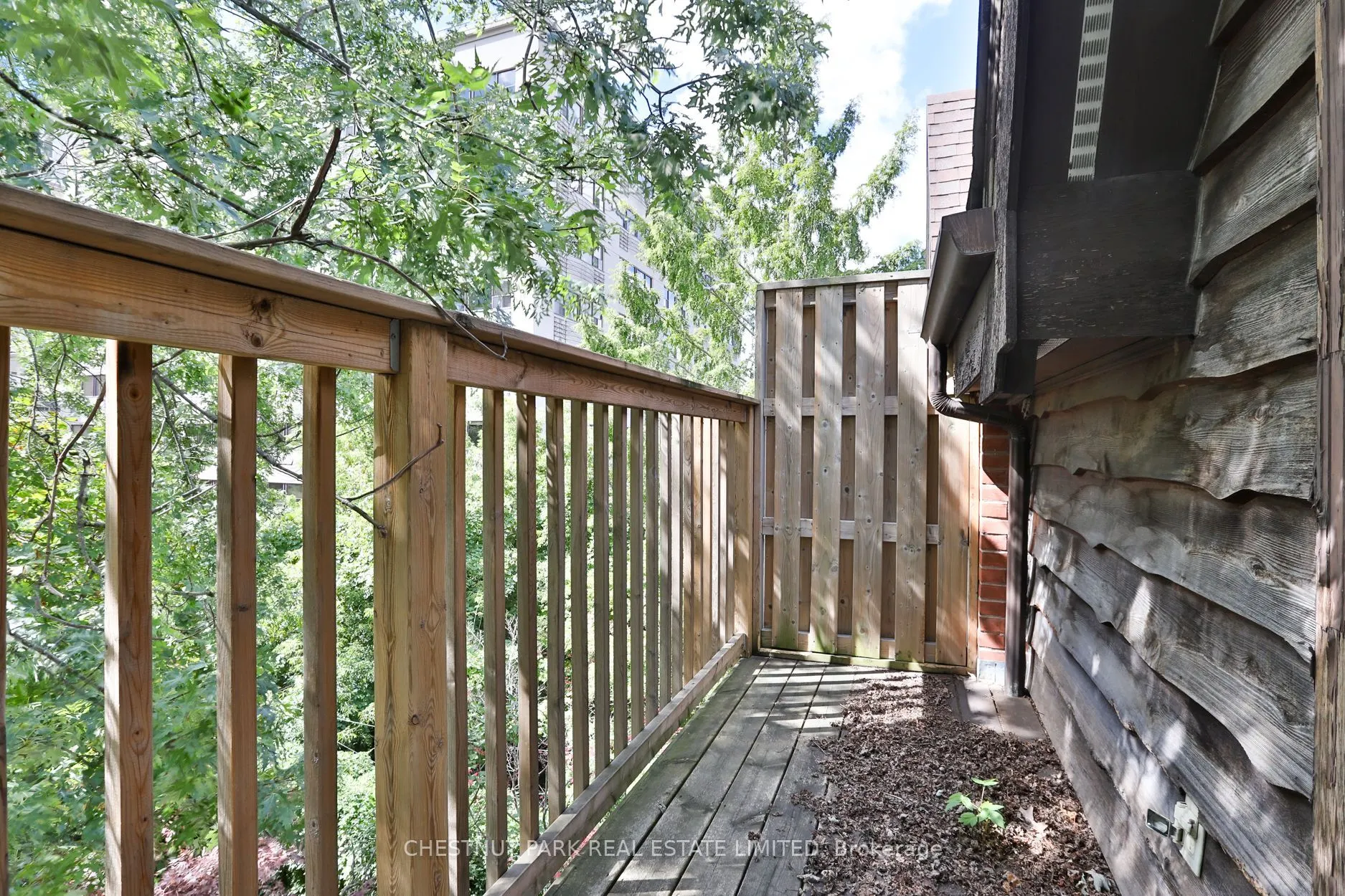 17 Webster Avenue