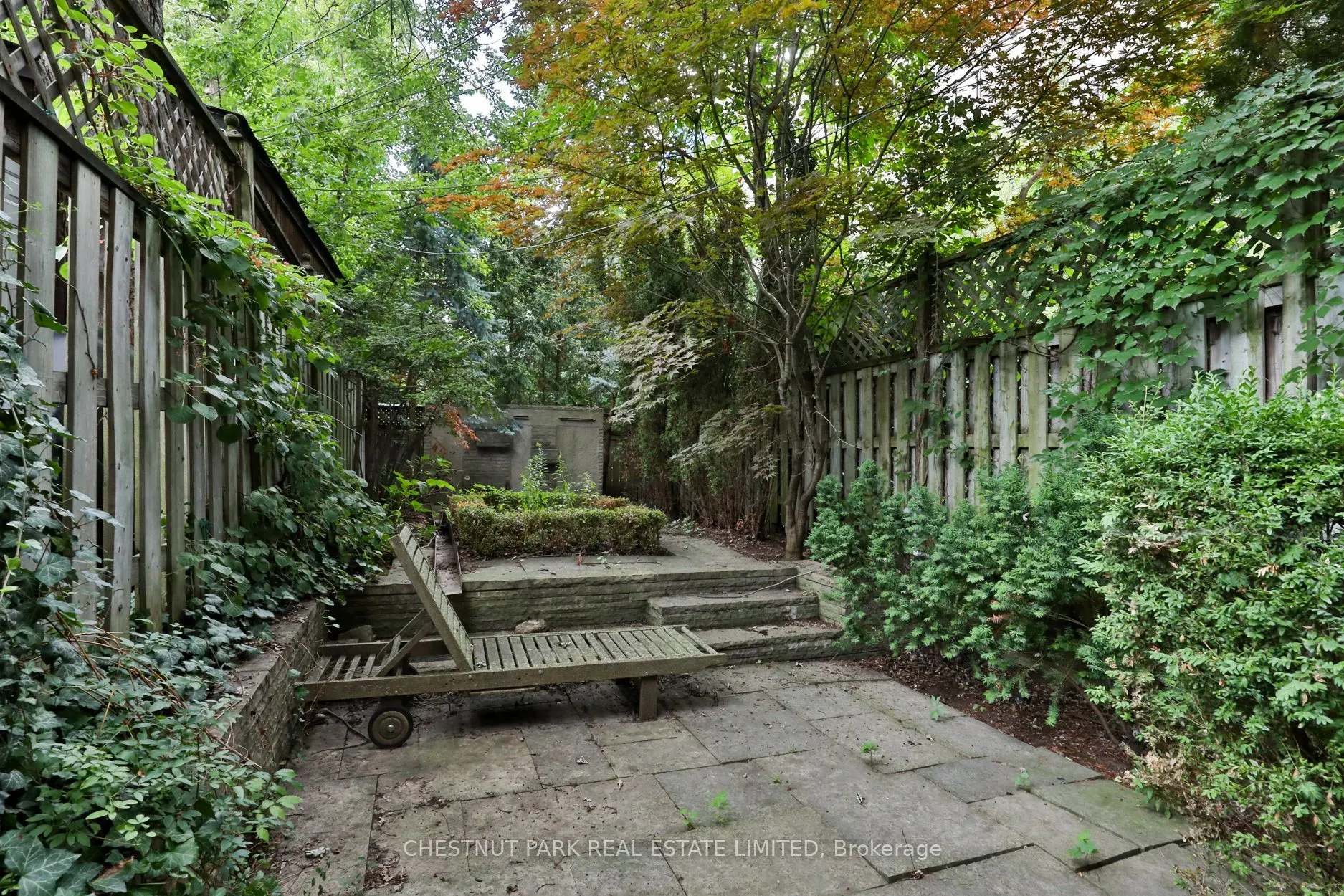 17 Webster Avenue