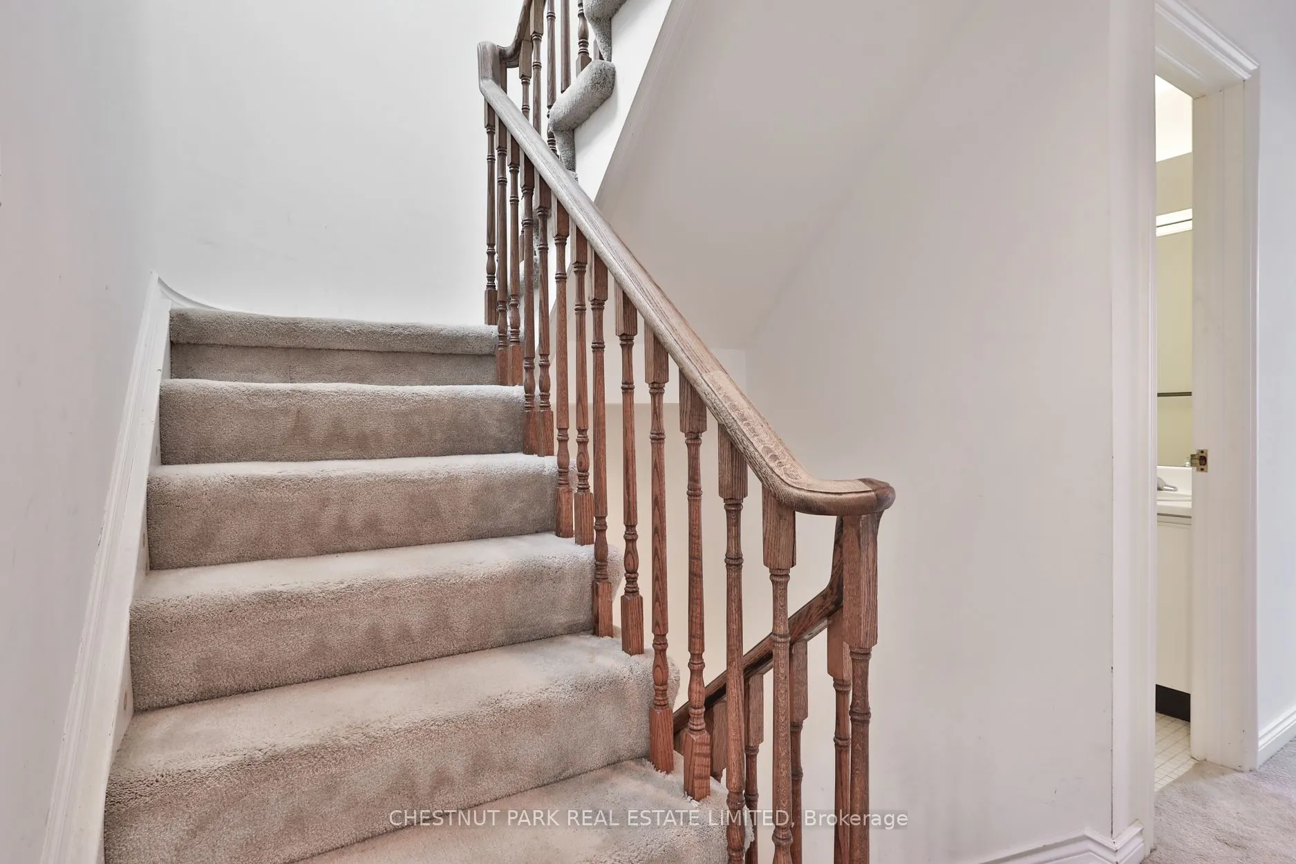 17 Webster Avenue