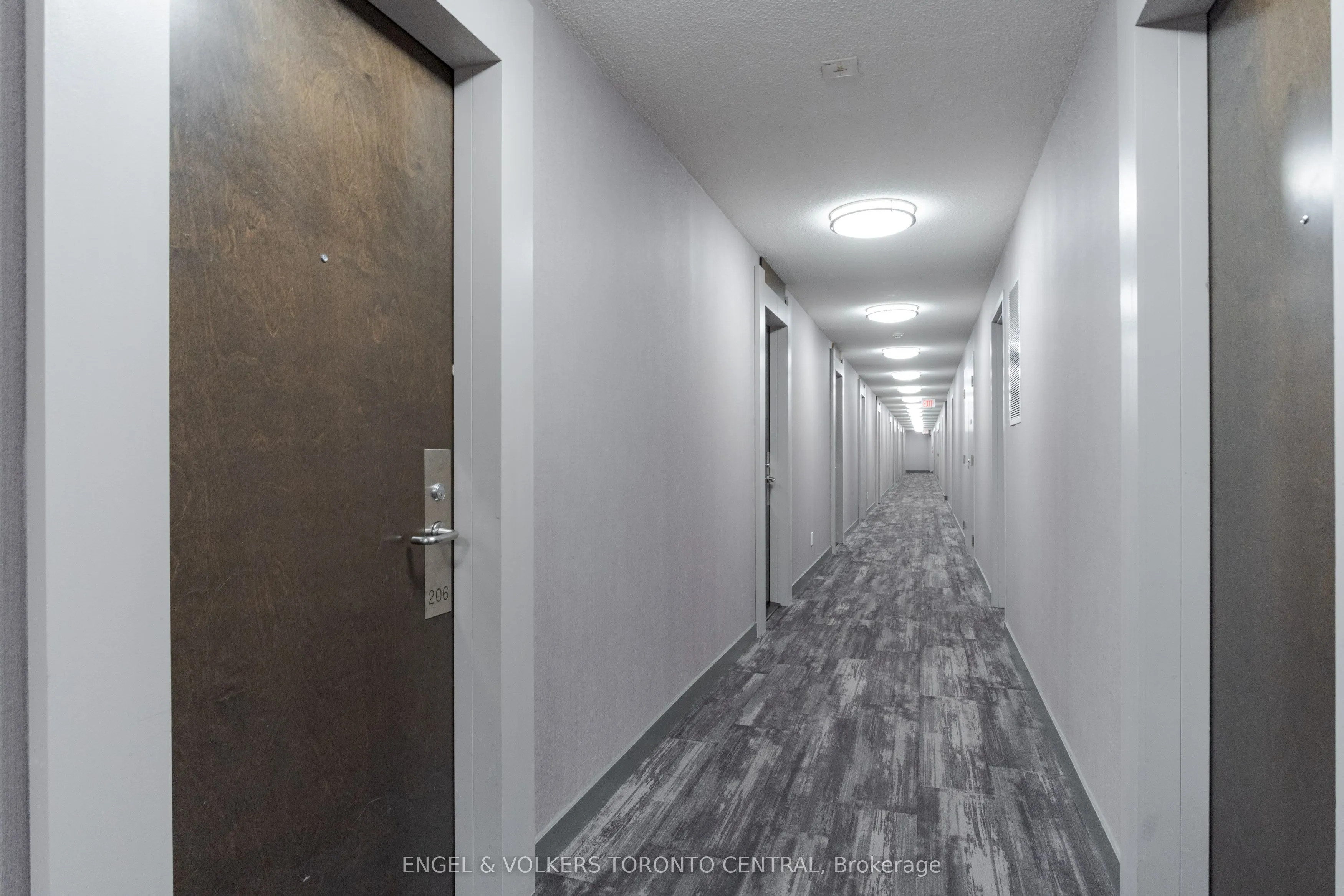 50 Lynn Williams Street, #206