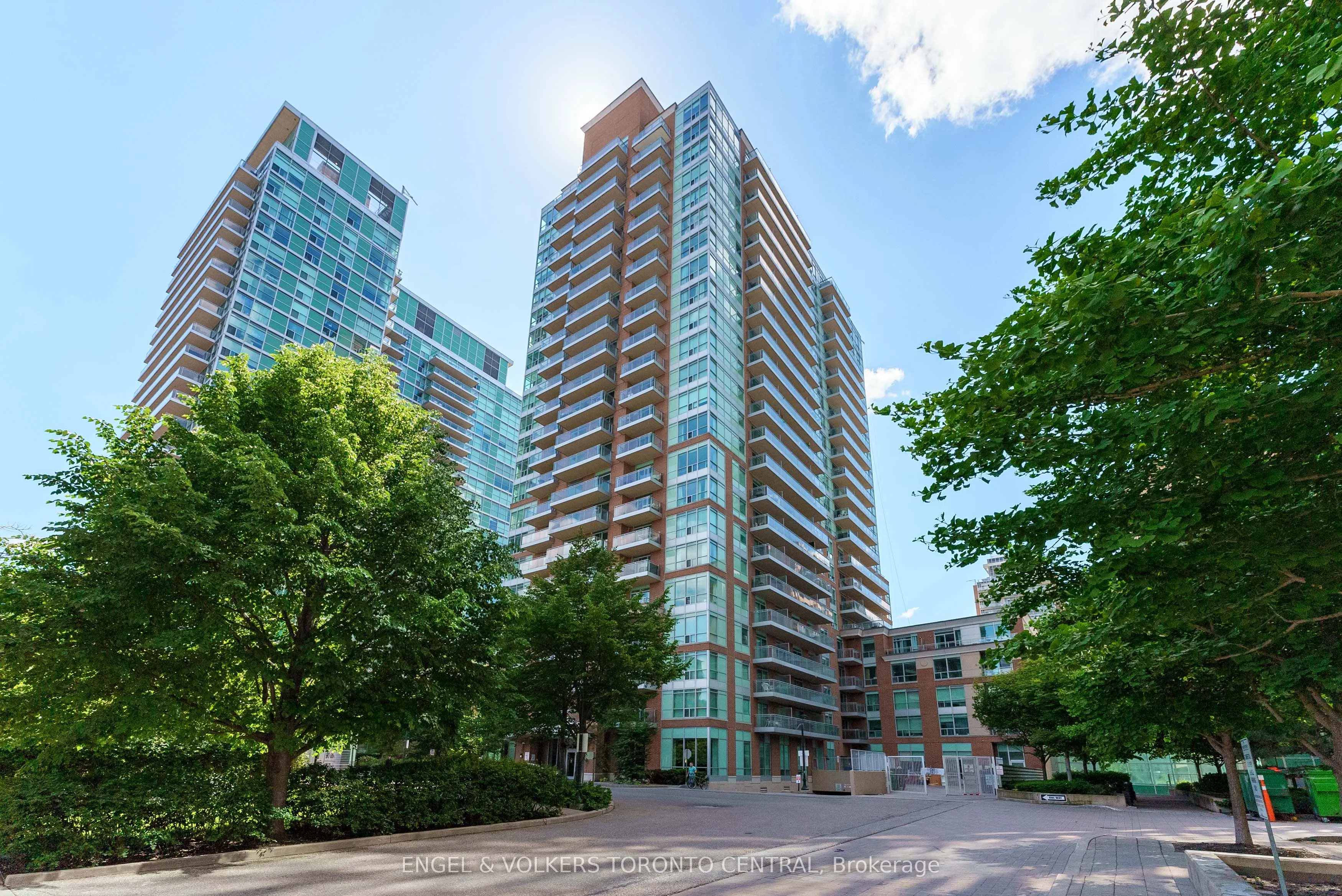 50 Lynn Williams Street, #206
