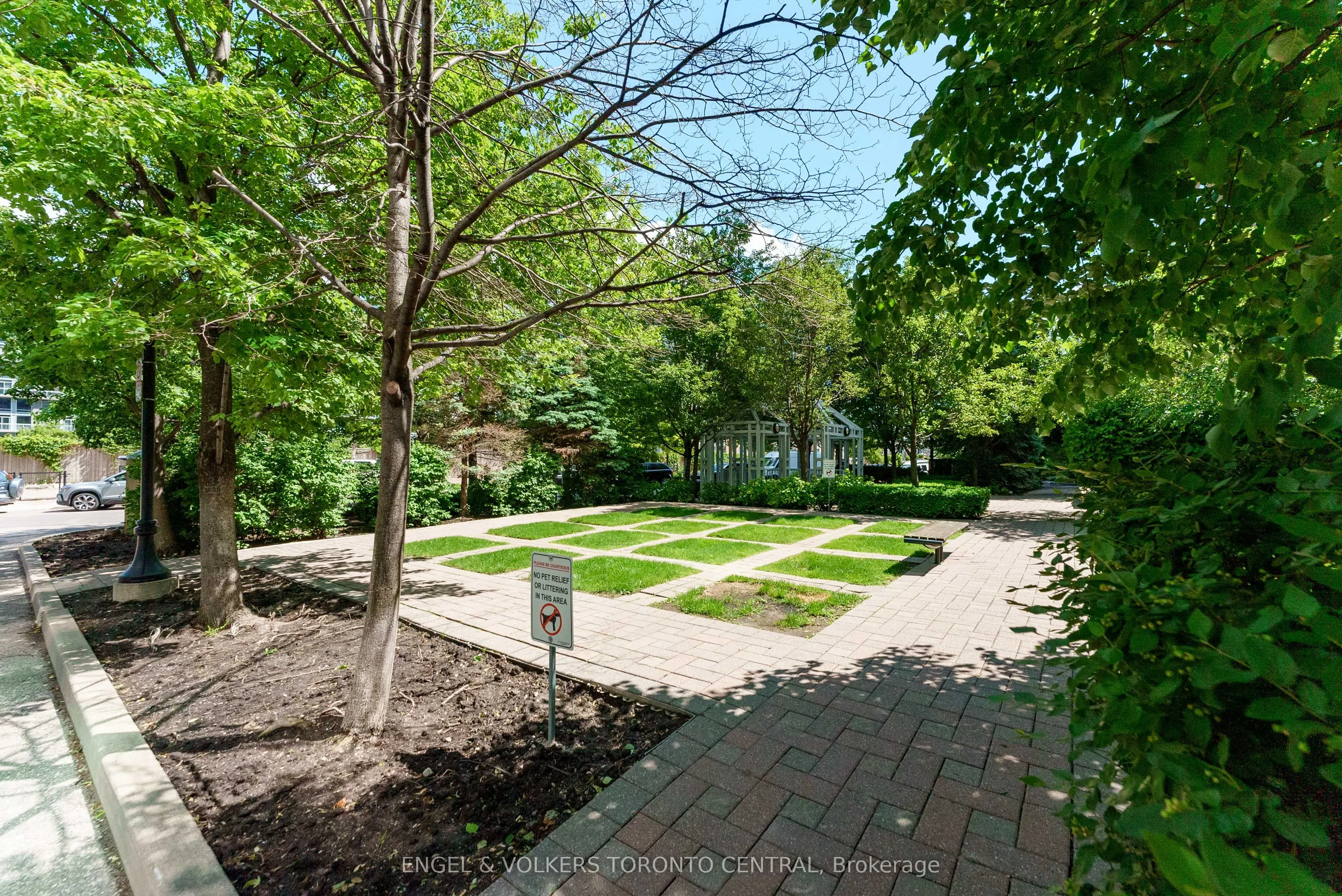 50 Lynn Williams Street, #206