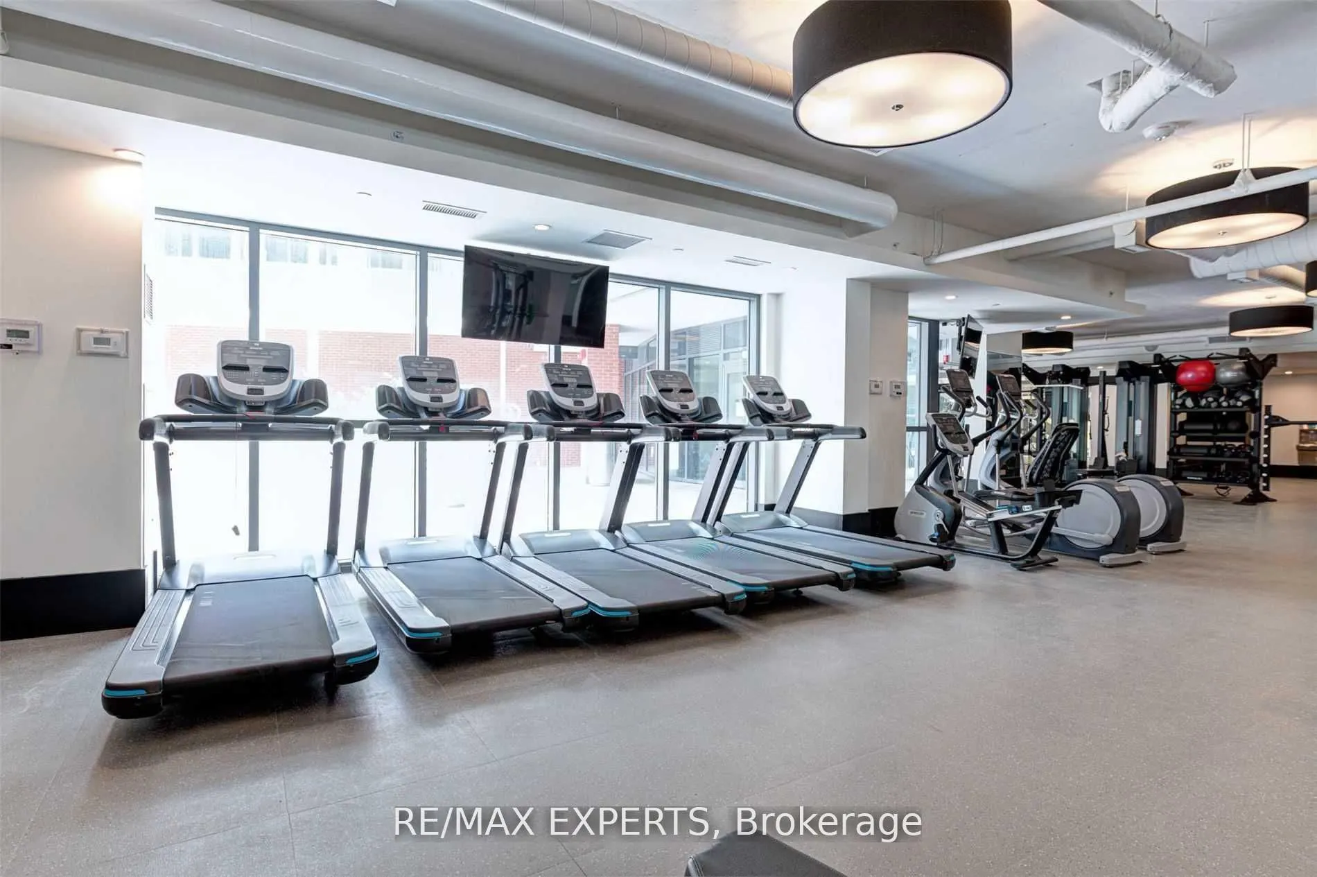 38 Iannuzzi Street, #1105