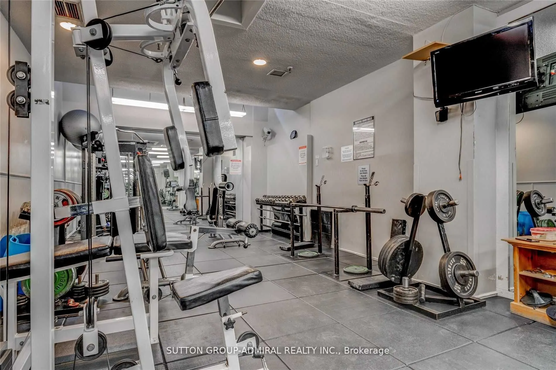 105 Mccaul Street, #702