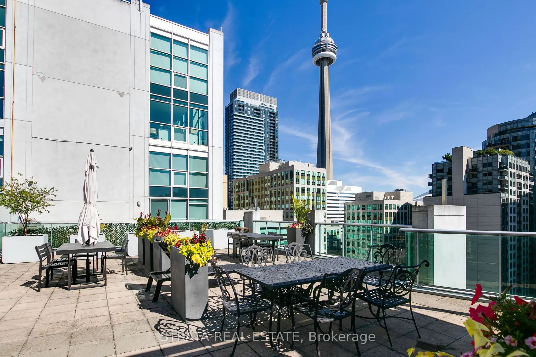 36 Blue Jays Way, #1311