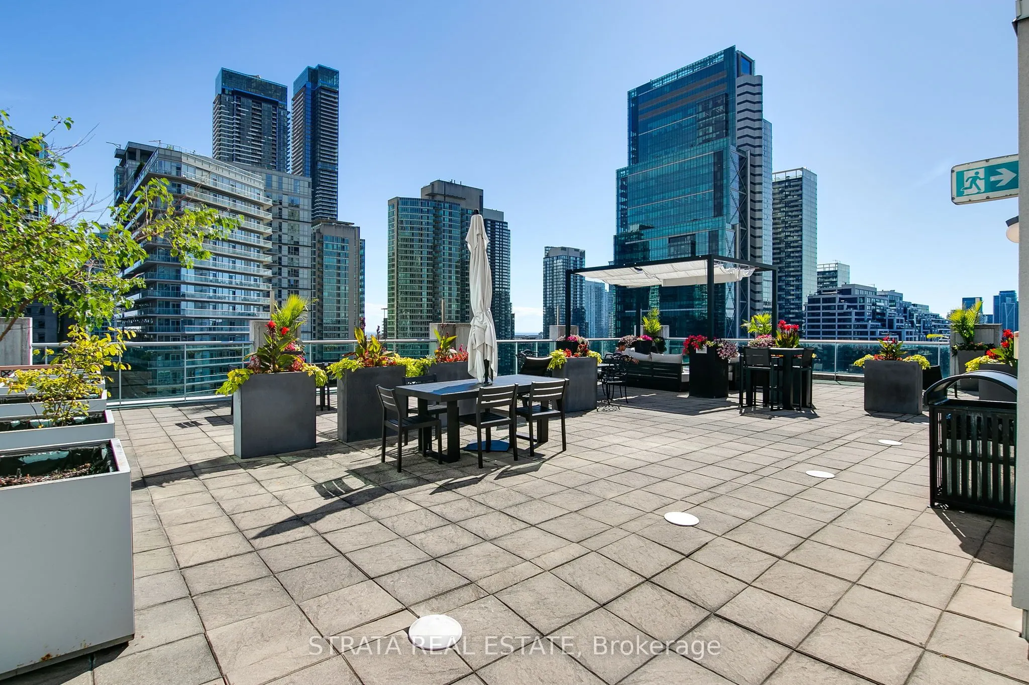 36 Blue Jays Way, #1311