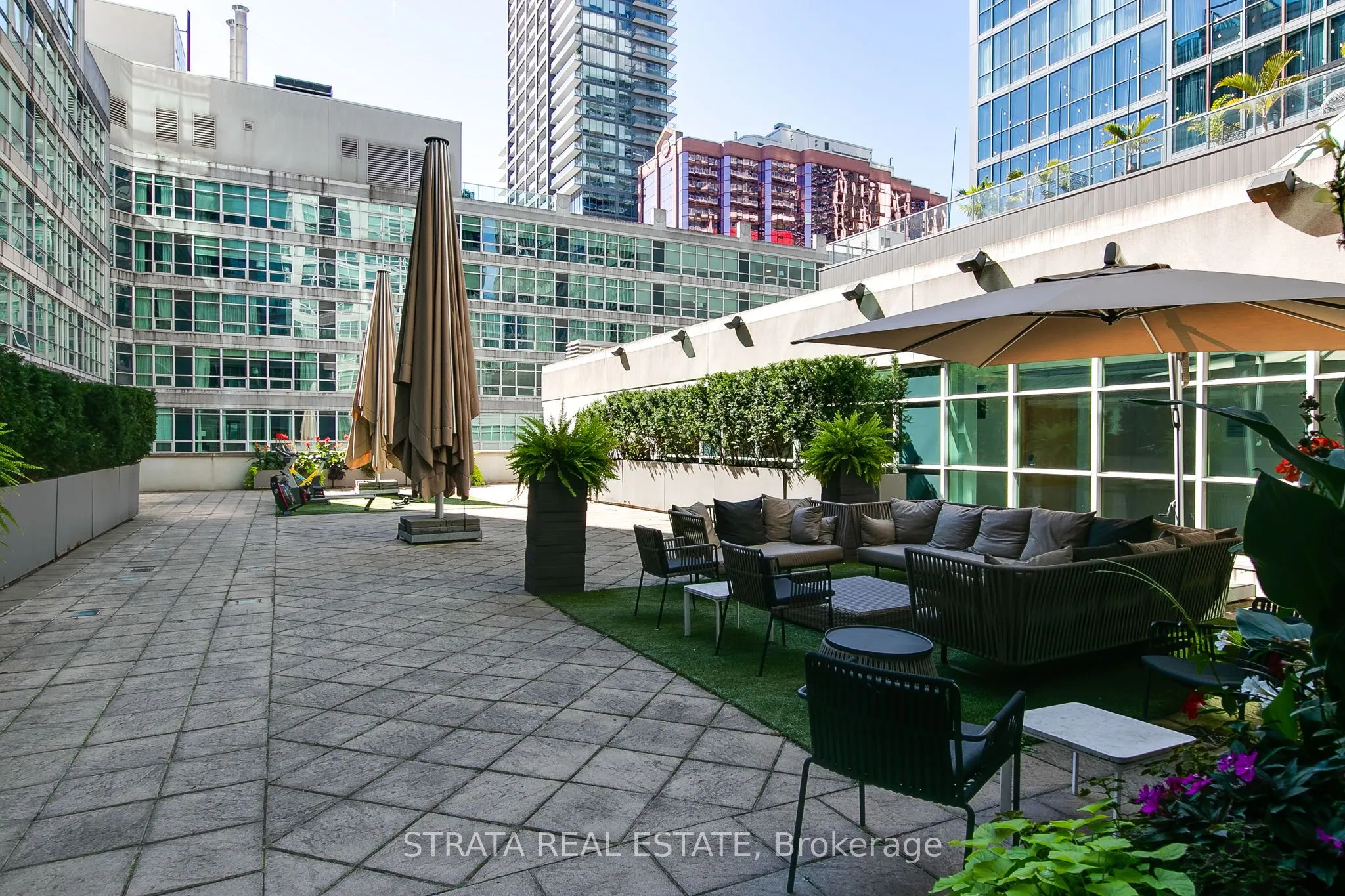 36 Blue Jays Way, #1311