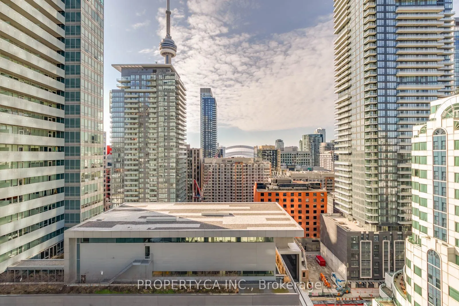 21 Widmer Street, #1611