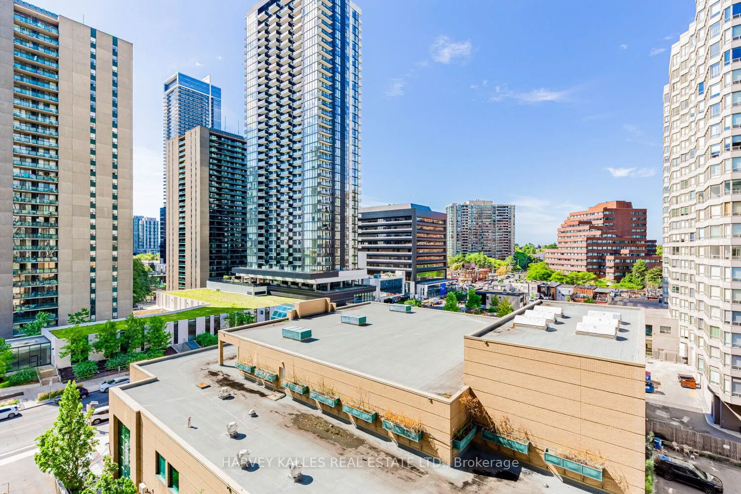 65 Spring Garden Avenue, #906