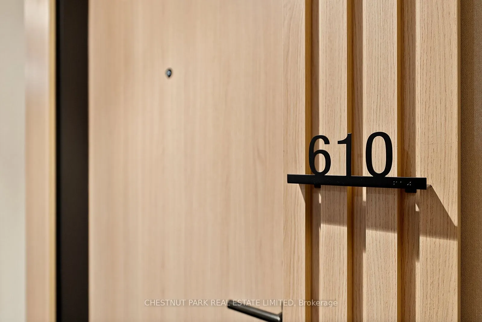 15 Mercer Street, #610