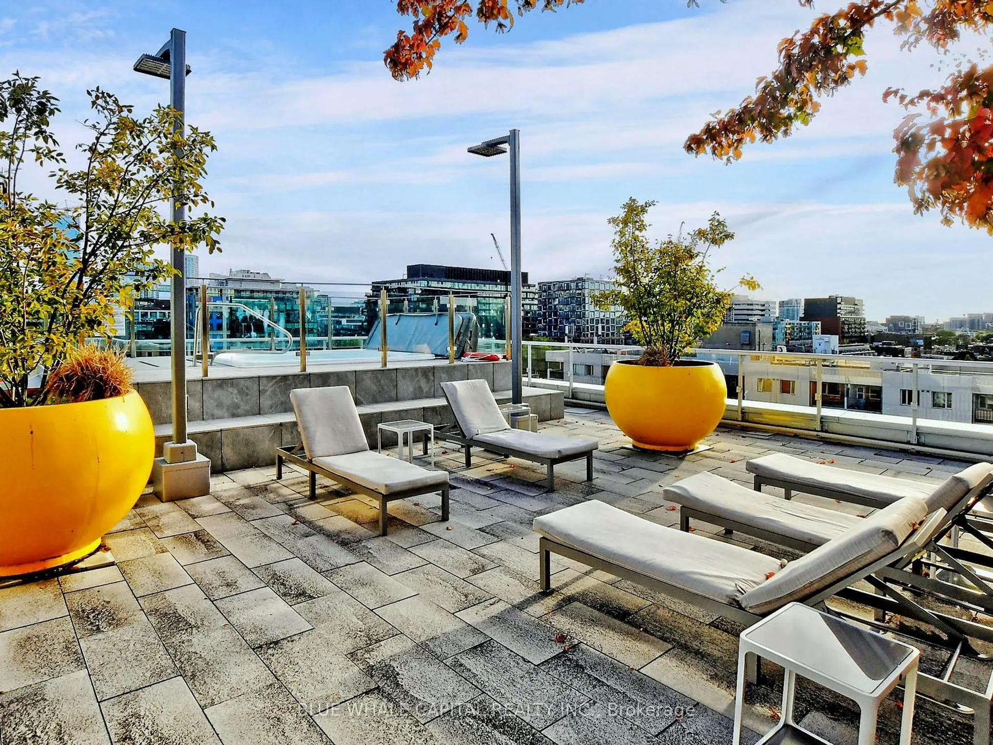 38 Cameron Street, #1321
