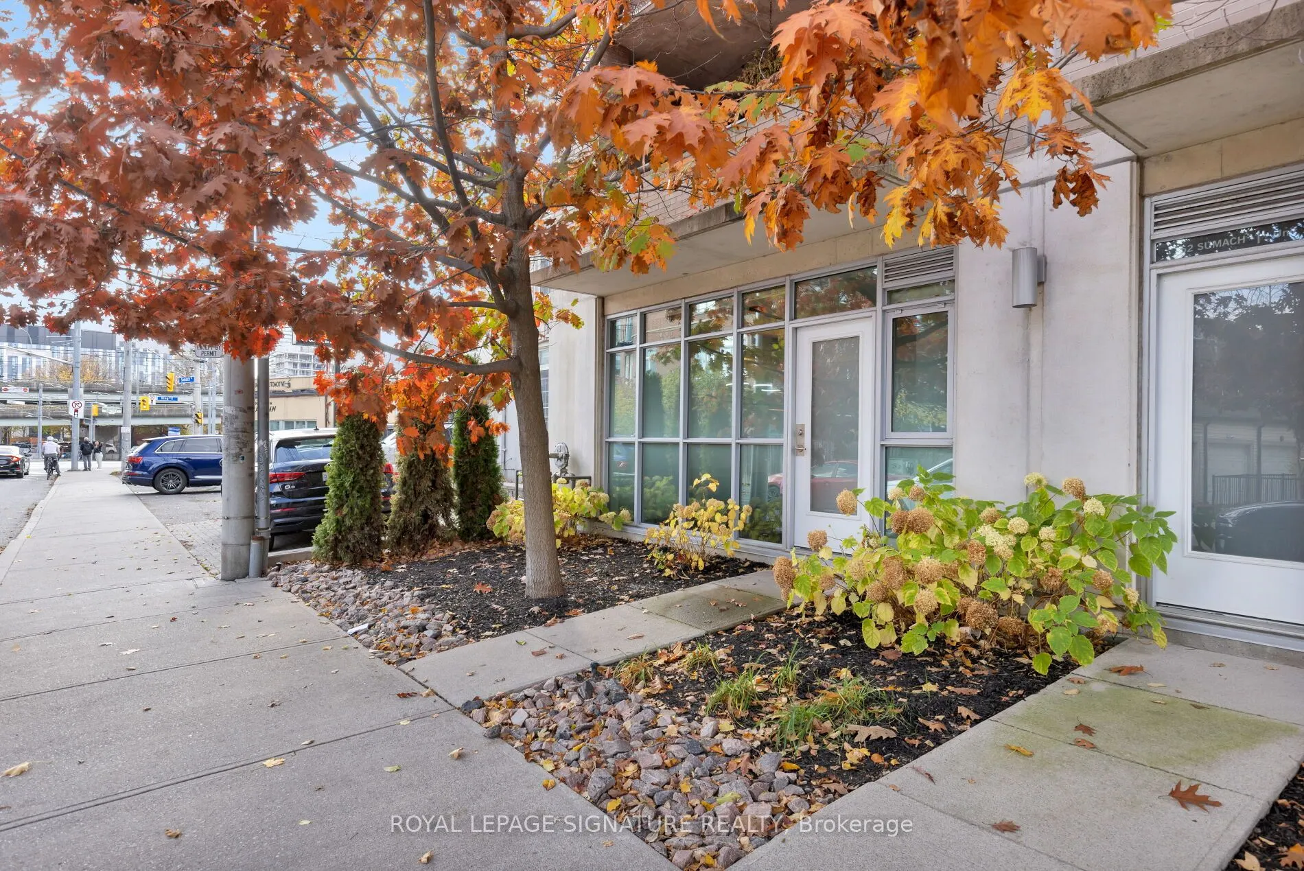 52 Sumach Street, #101