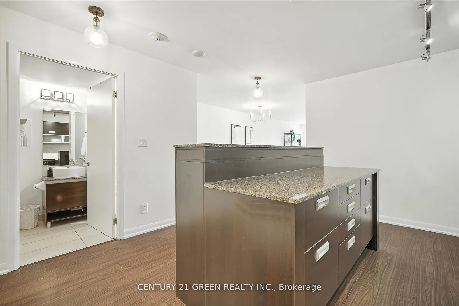 205 Frederick Street, #508