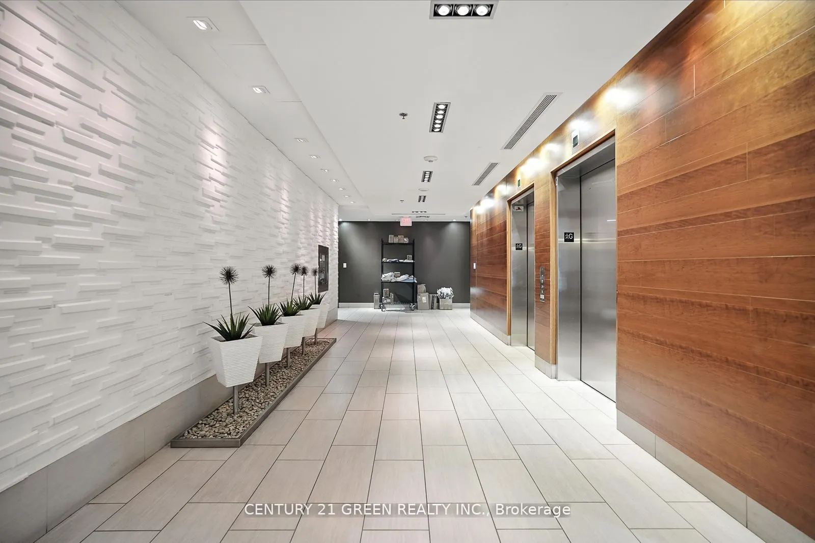 205 Frederick Street, #508