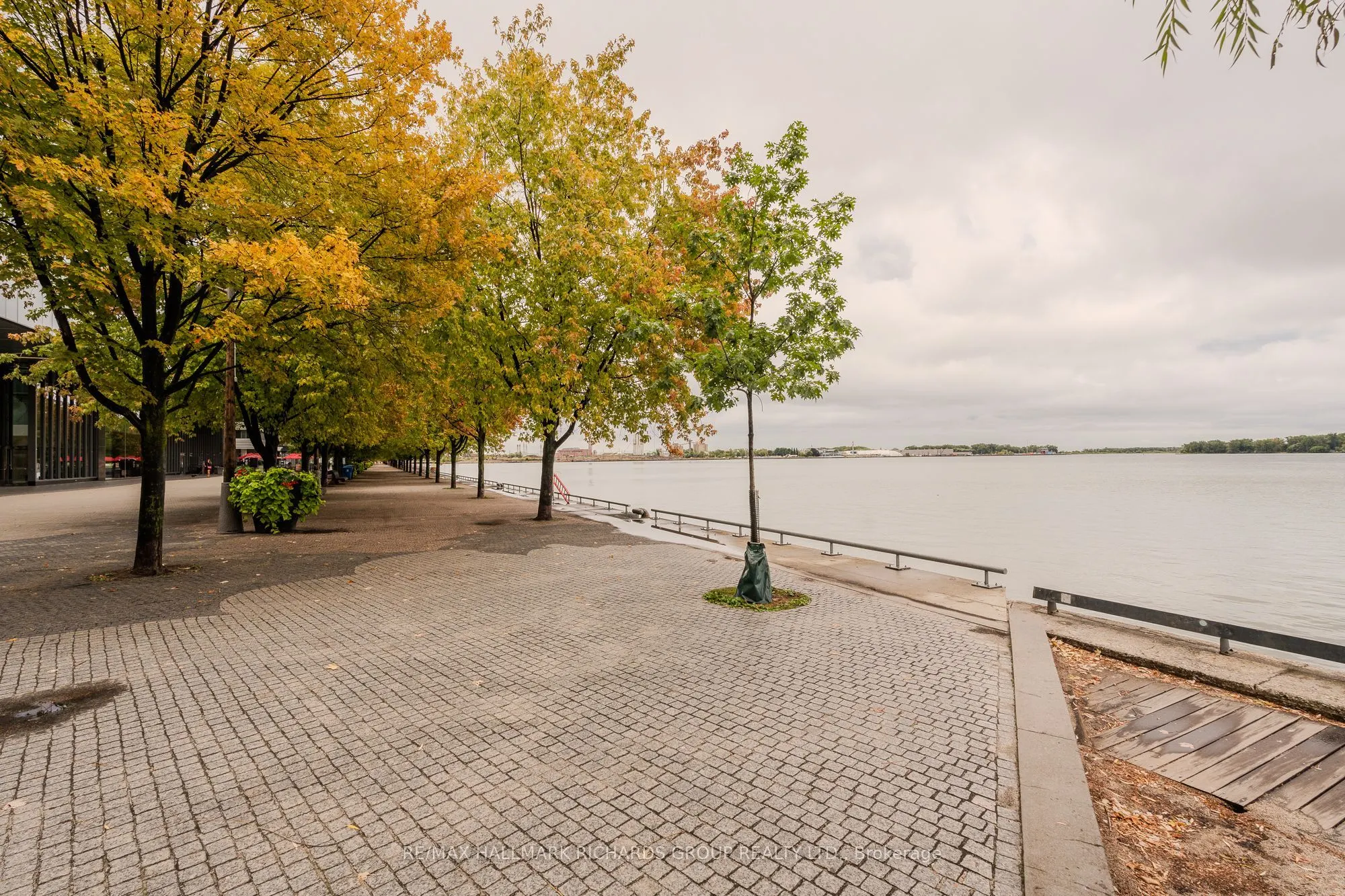 15 Richardson Street, #507