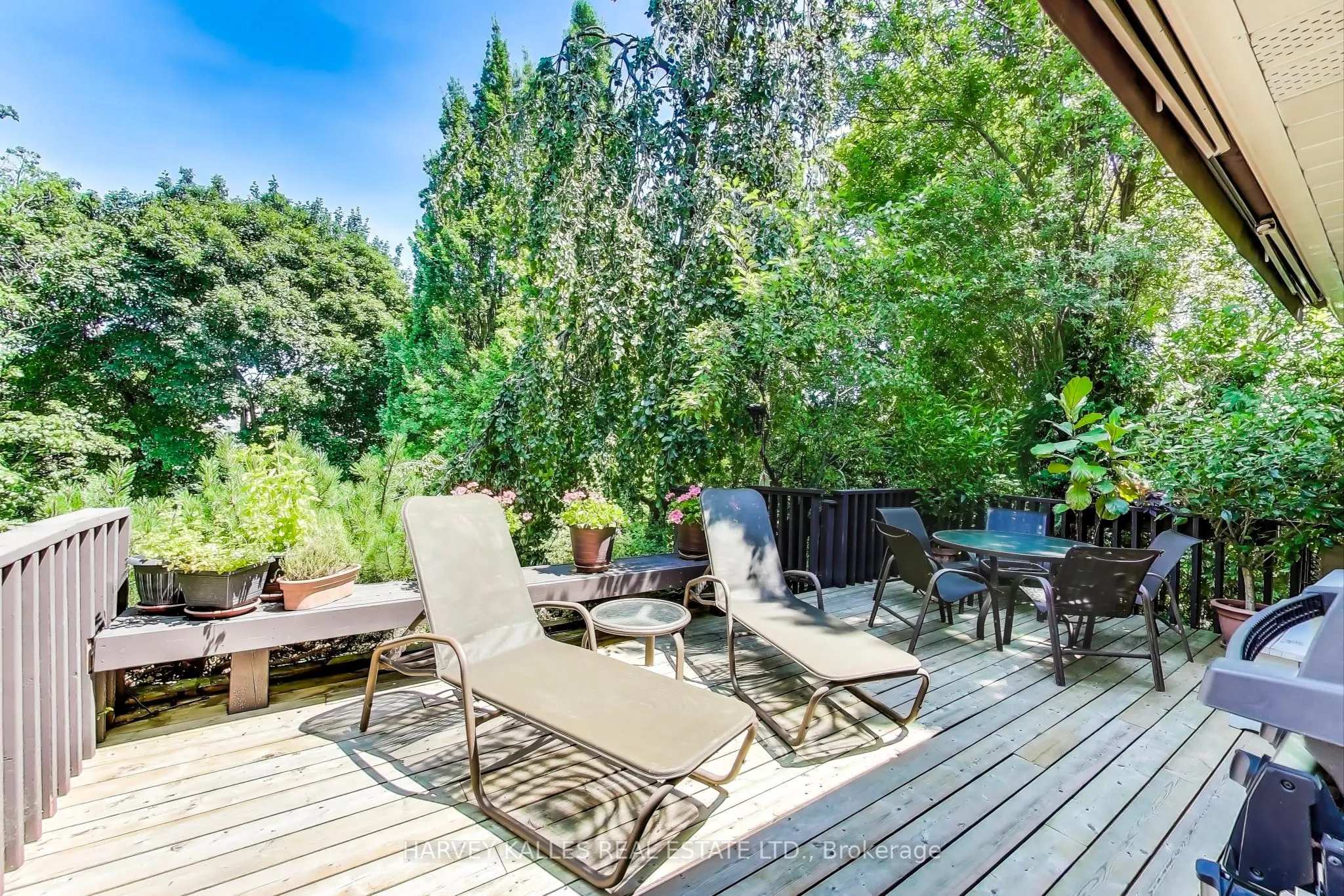 103 Vesta Drive