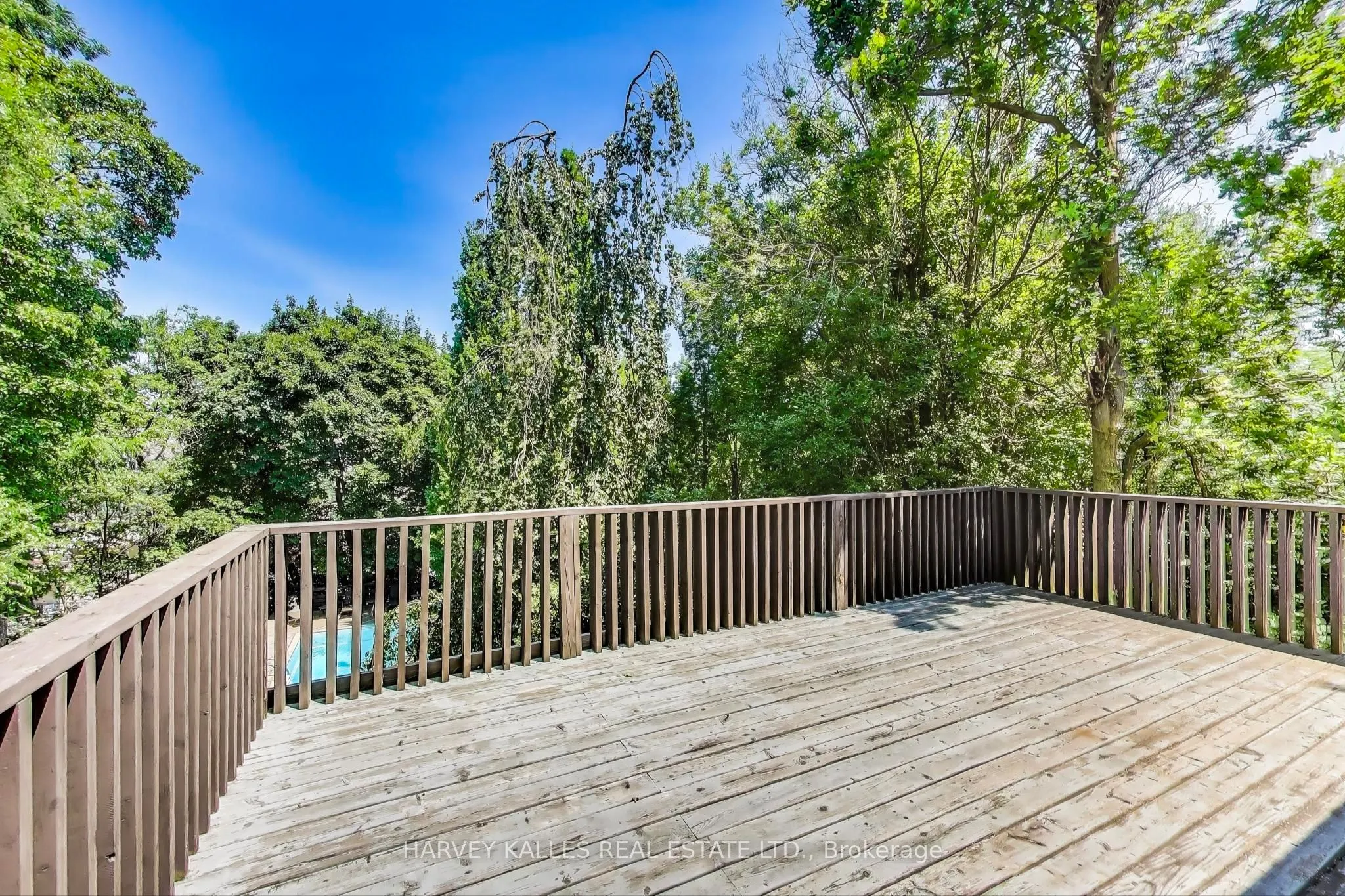 103 Vesta Drive