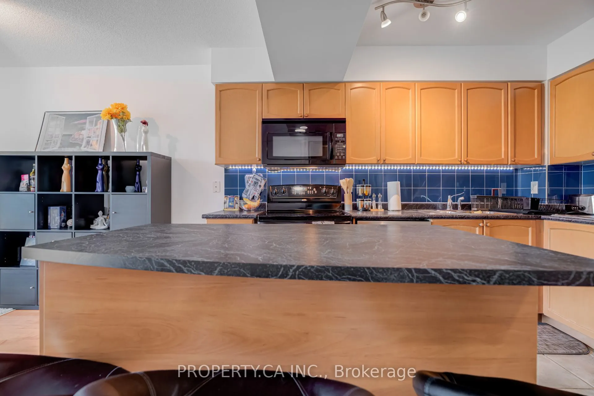 231 Fort York Boulevard, #509