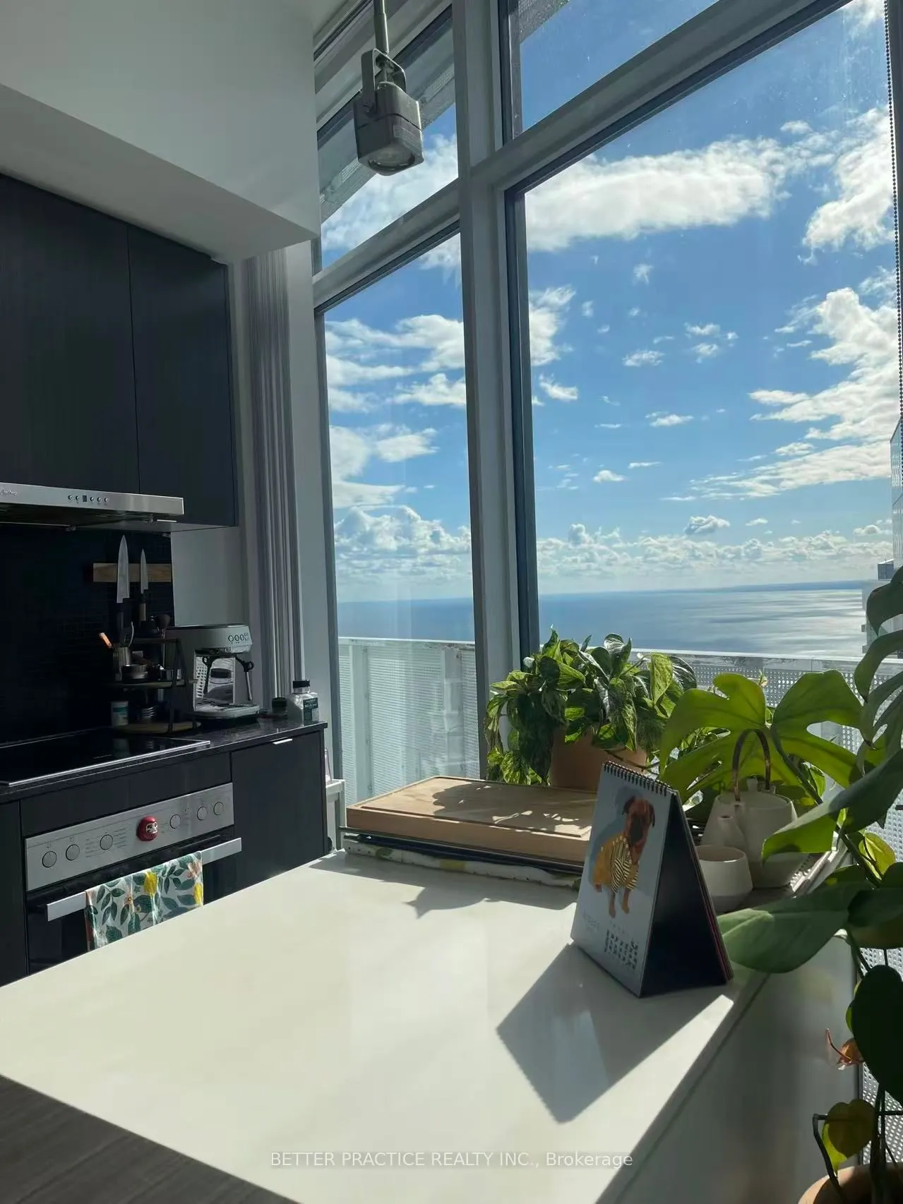 88 Harbour Street, #7302