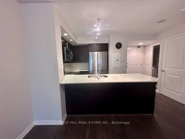 85 East Liberty Street, #513