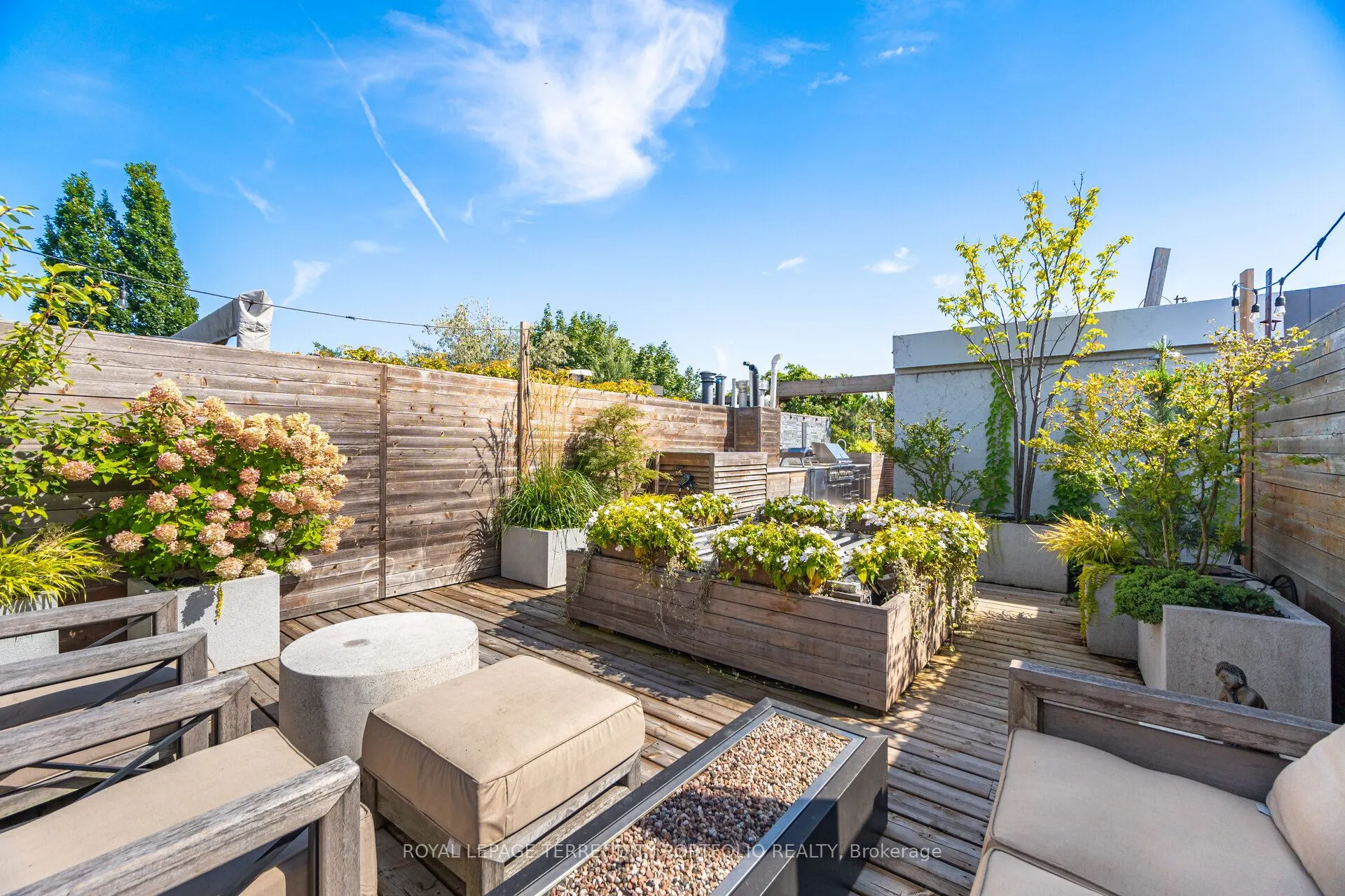 62 Claremont Street, #3