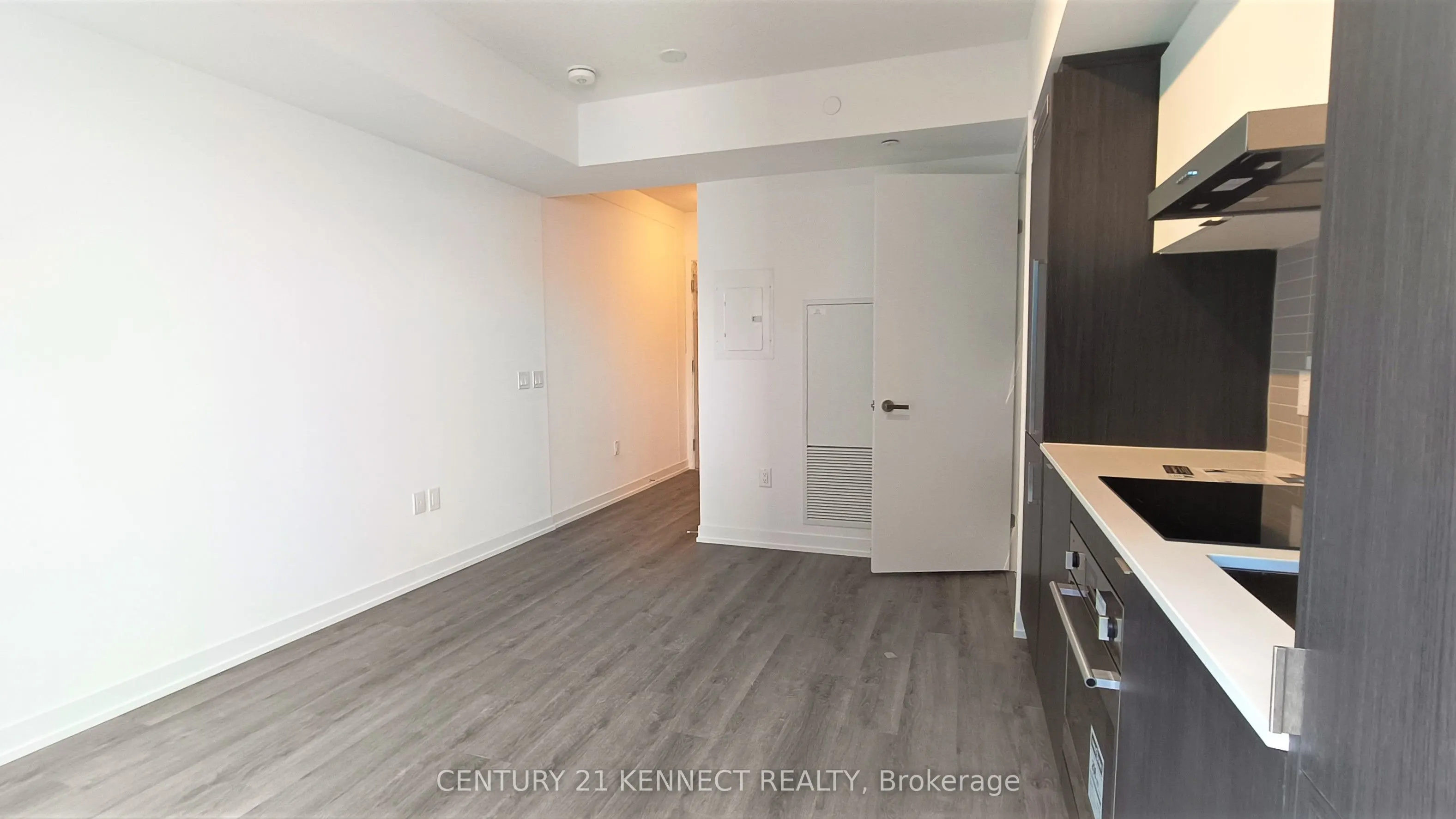 138 Downes Street, #2910