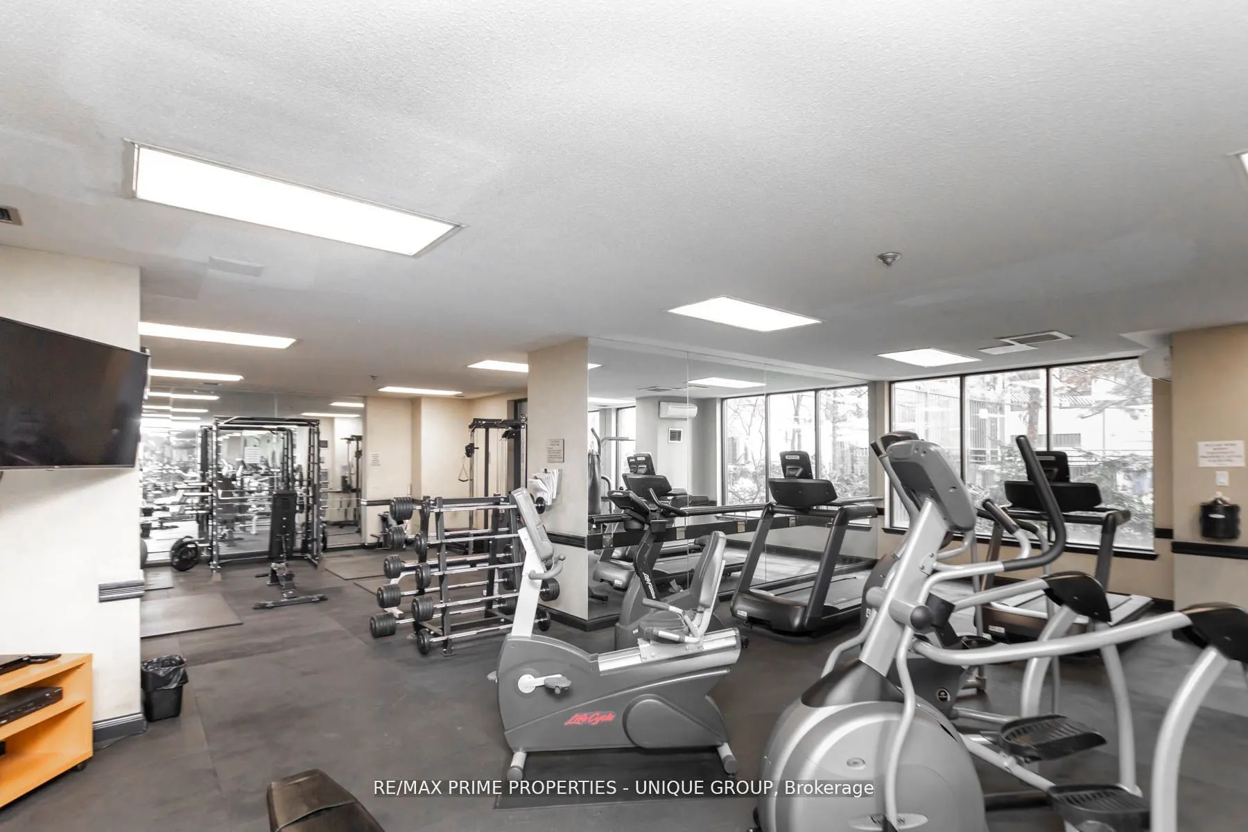 633 Bay Street, #903