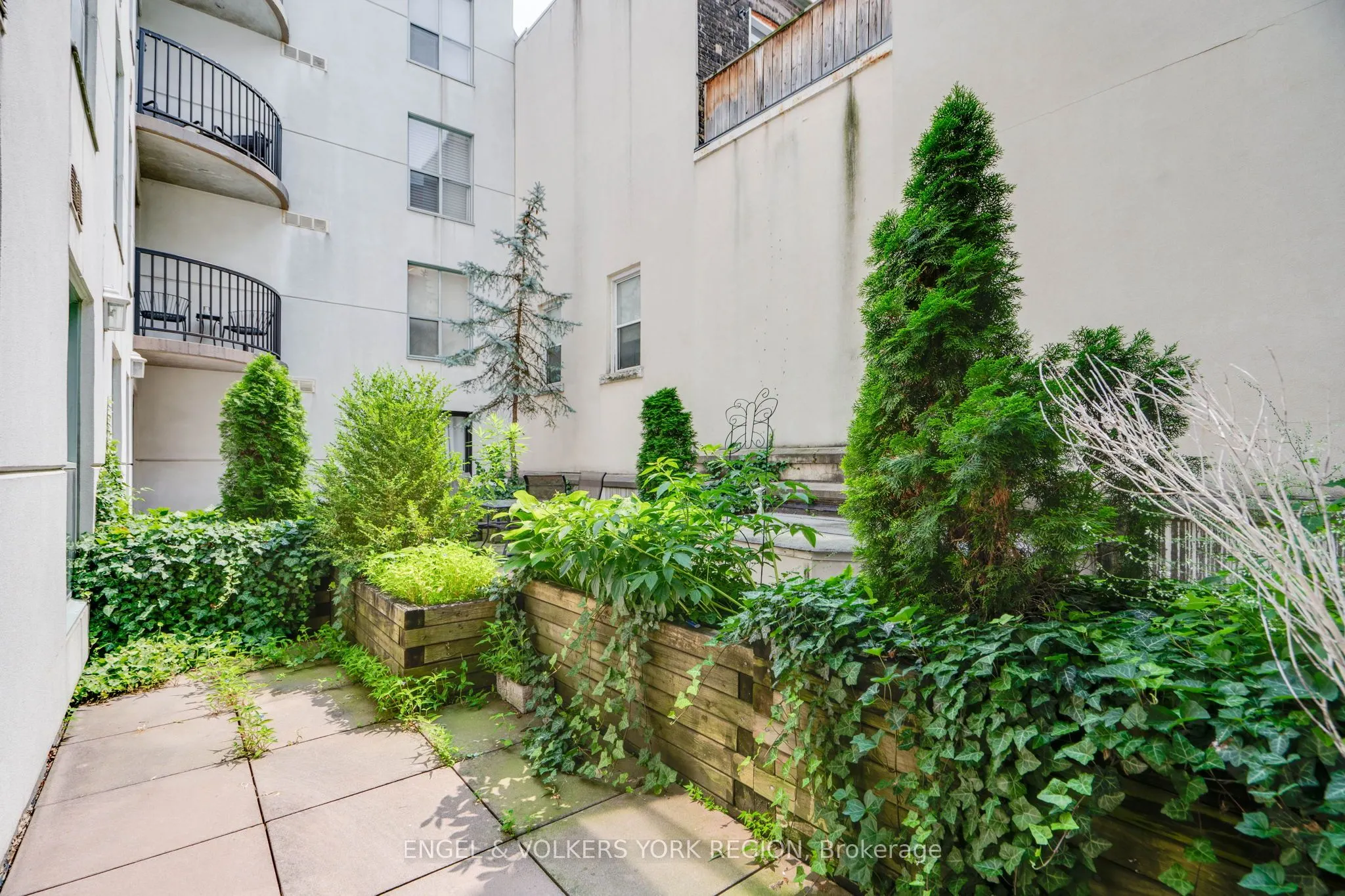 1174 Yonge Street, #203