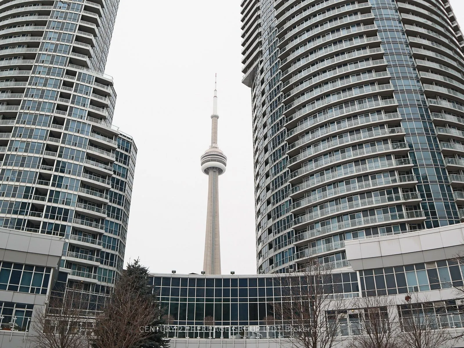 8 York Street, #604