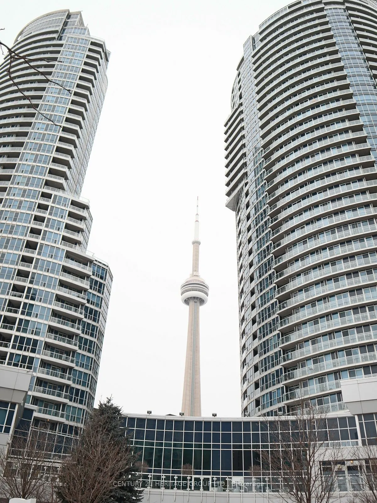 8 York Street, #604
