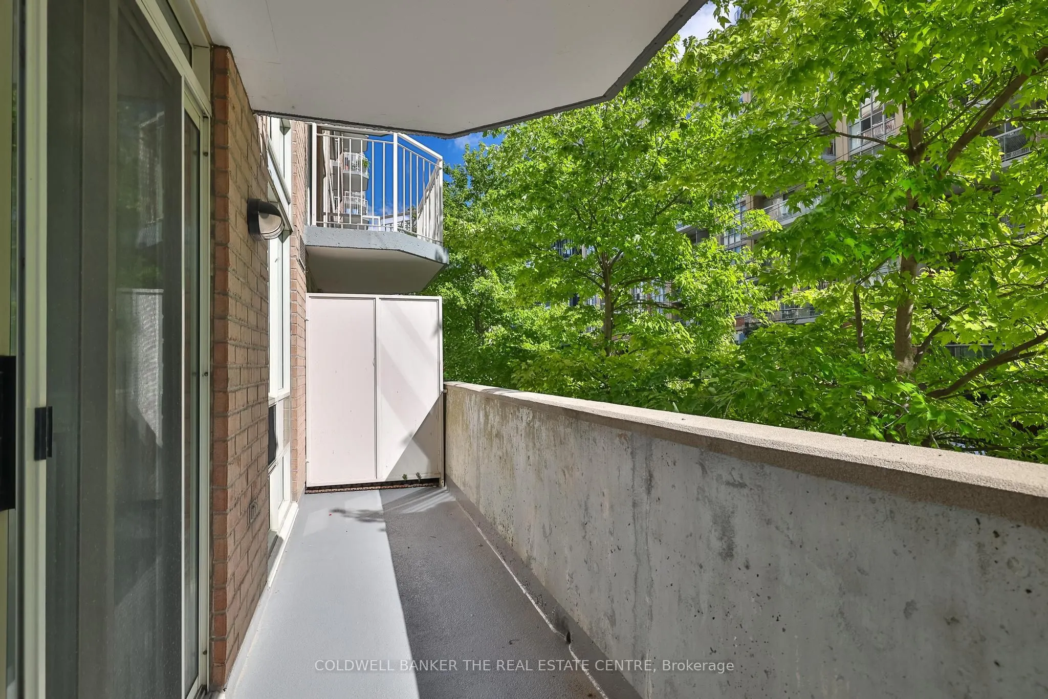 18 Stafford Street, #203