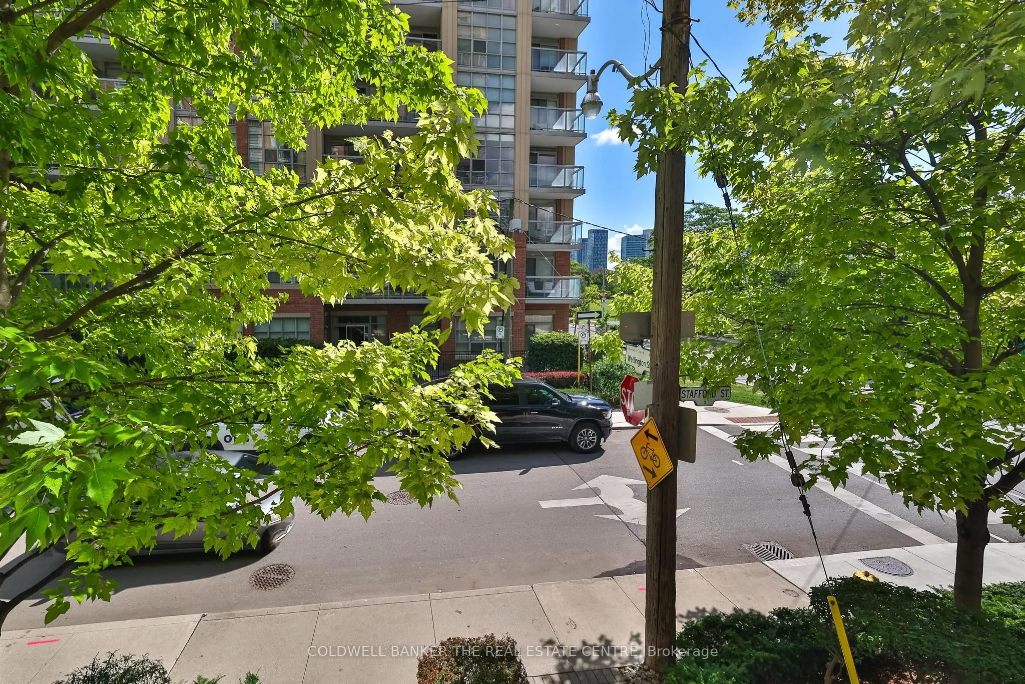 18 Stafford Street, #203