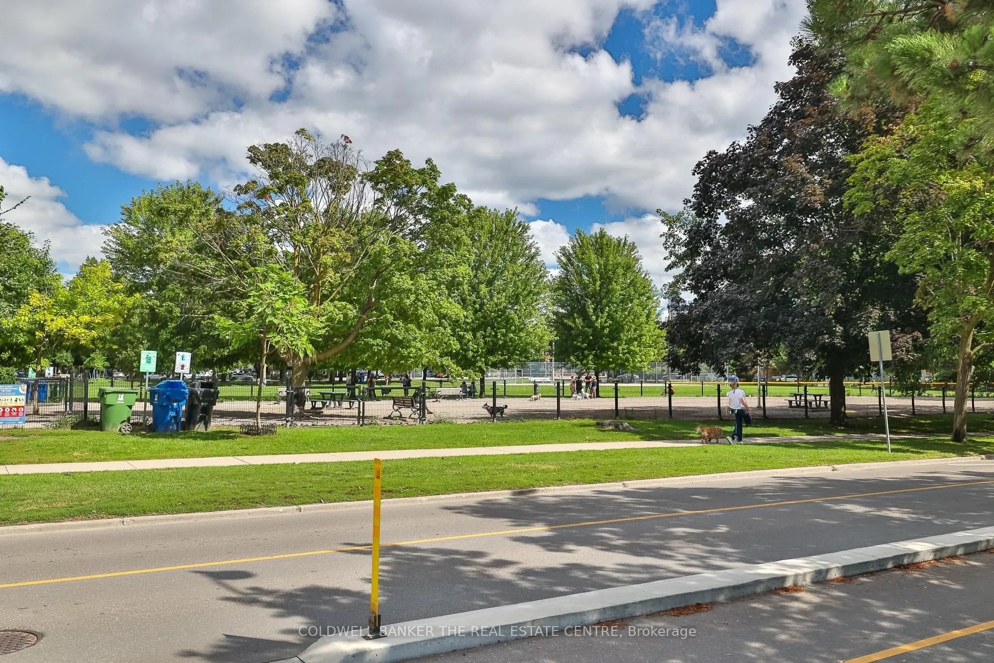 18 Stafford Street, #203