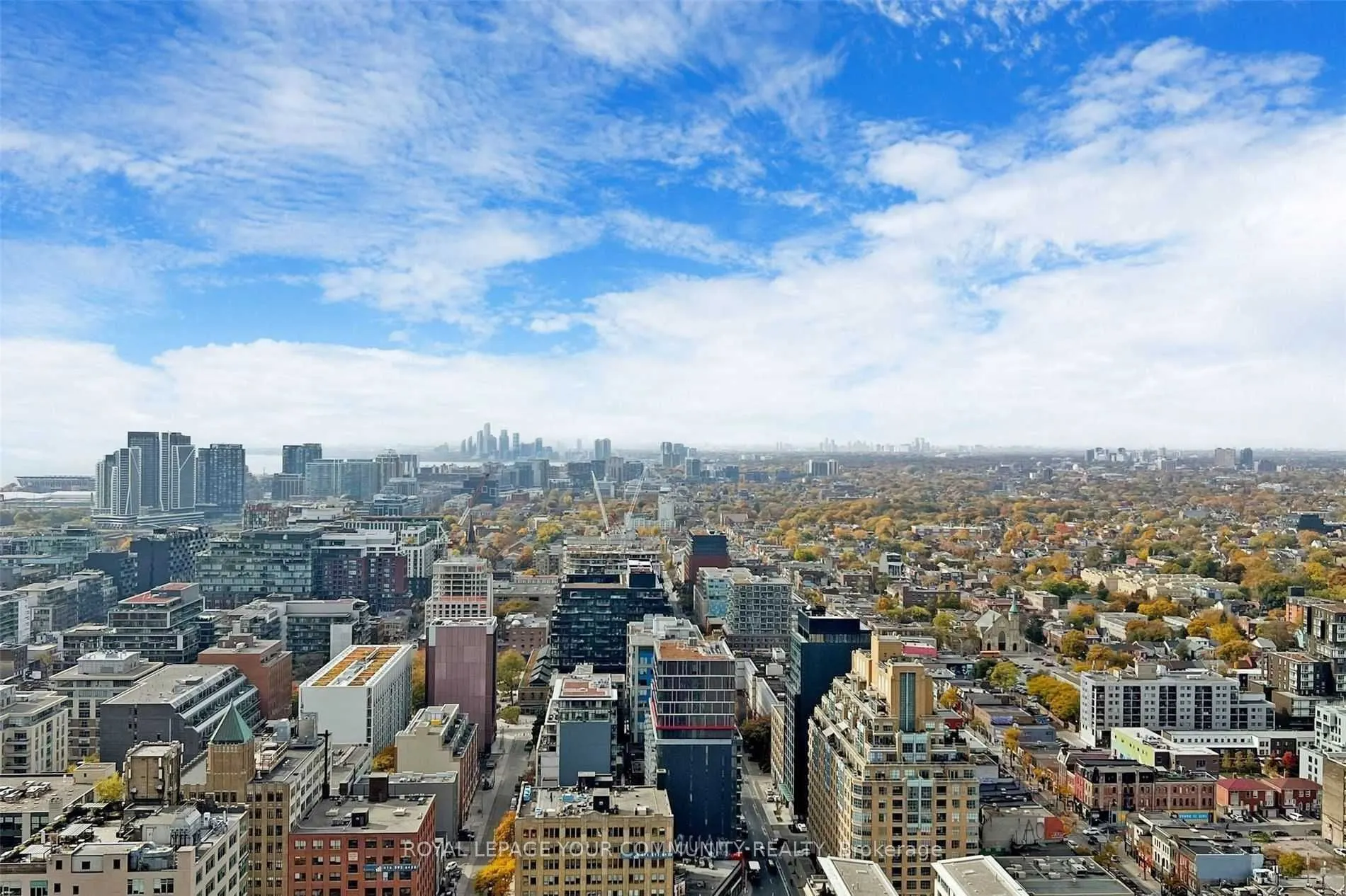 125 Peter Street, #3501