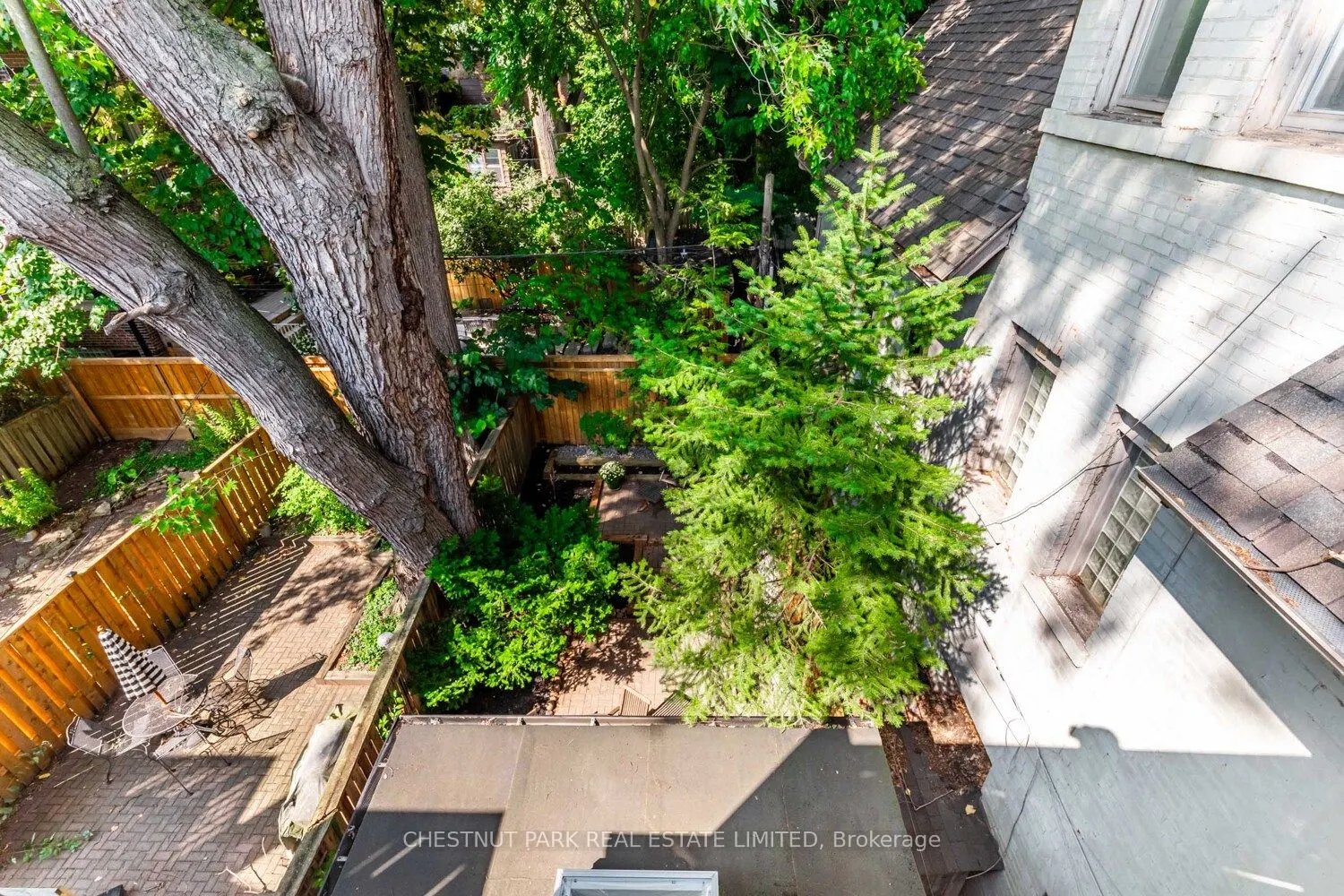 244 Cottingham Street