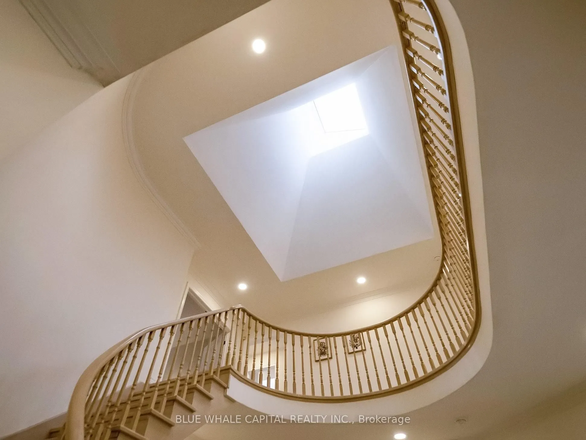 14 Cadmus Road
