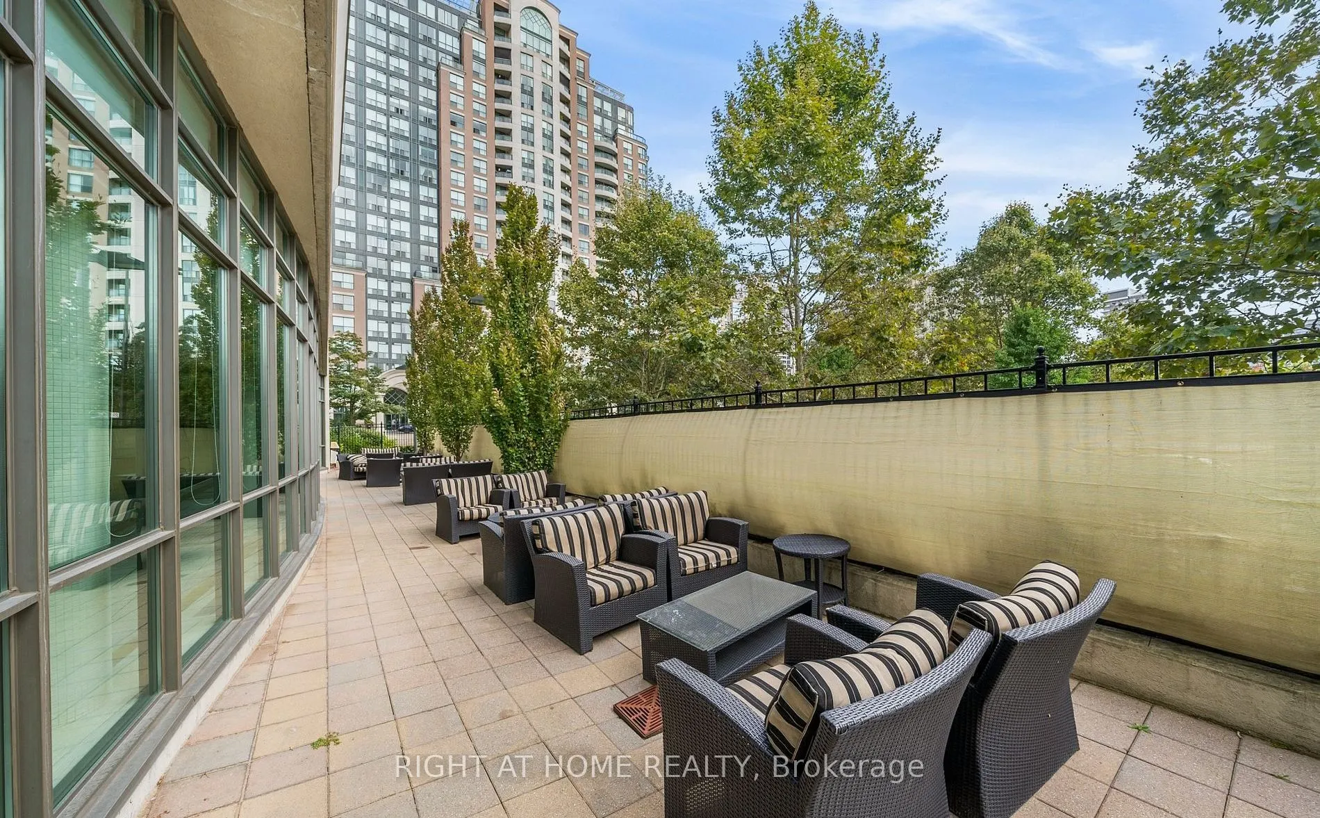 509 Beecroft Road, #319