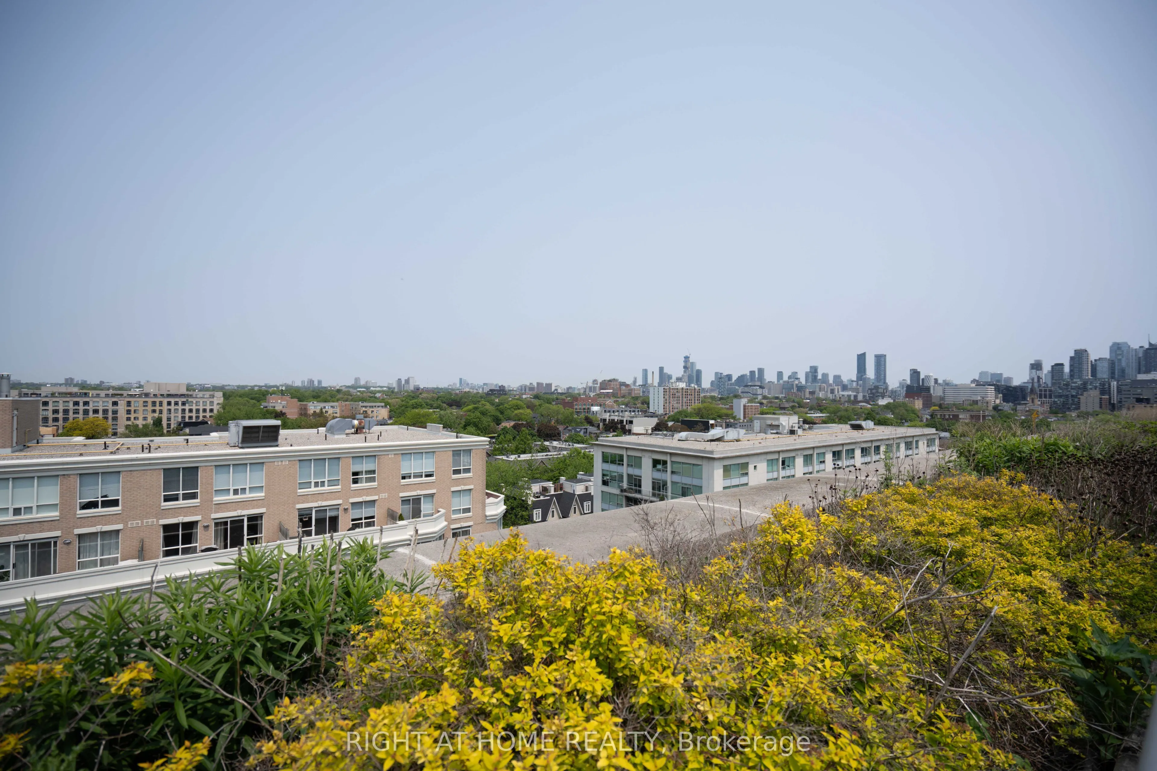 1 Shaw Street, #413