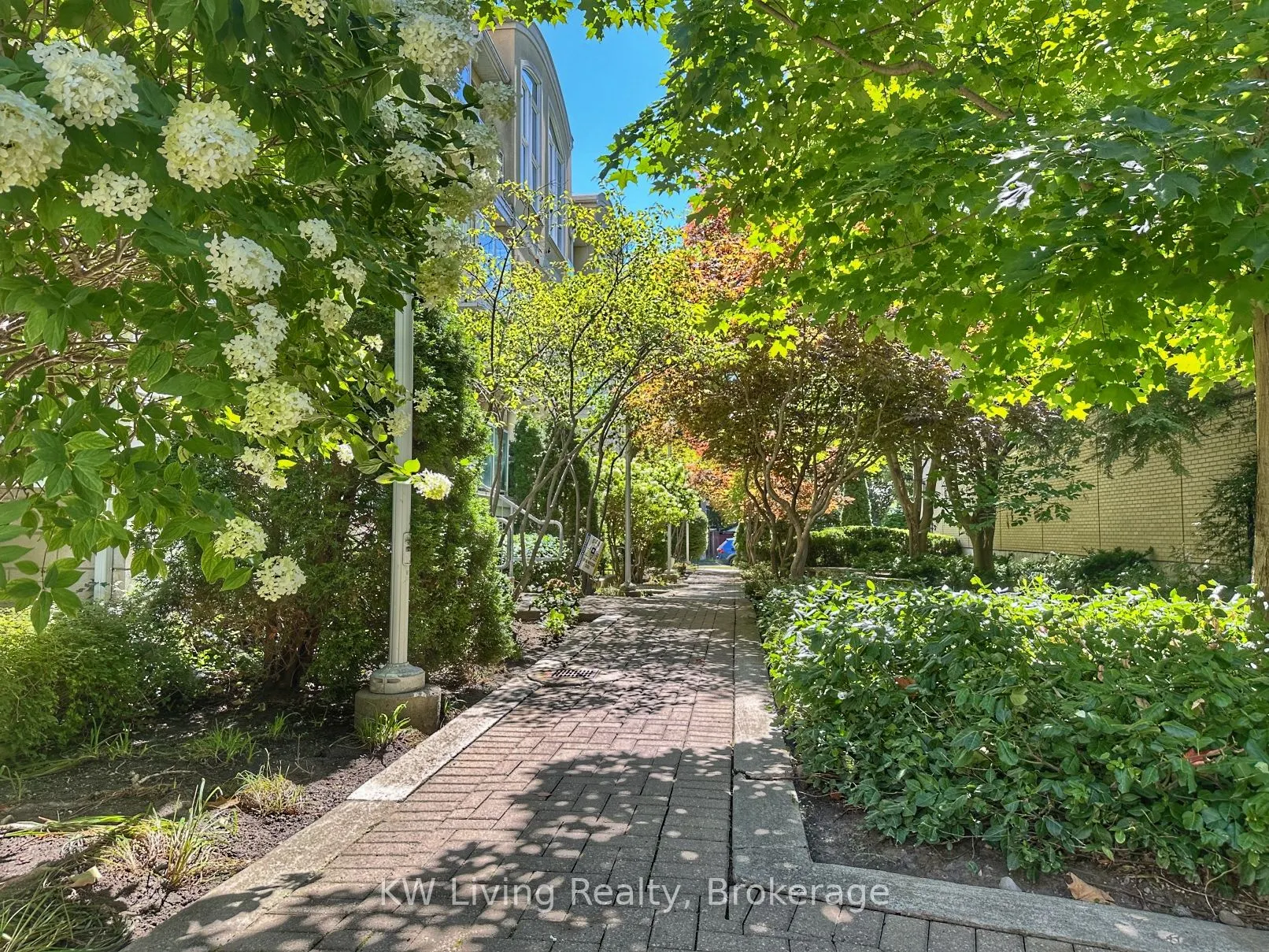 70 Byng Avenue, #15