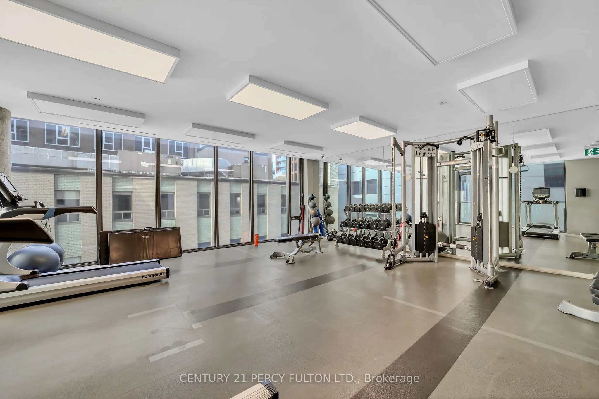 101 Peter Street, #917